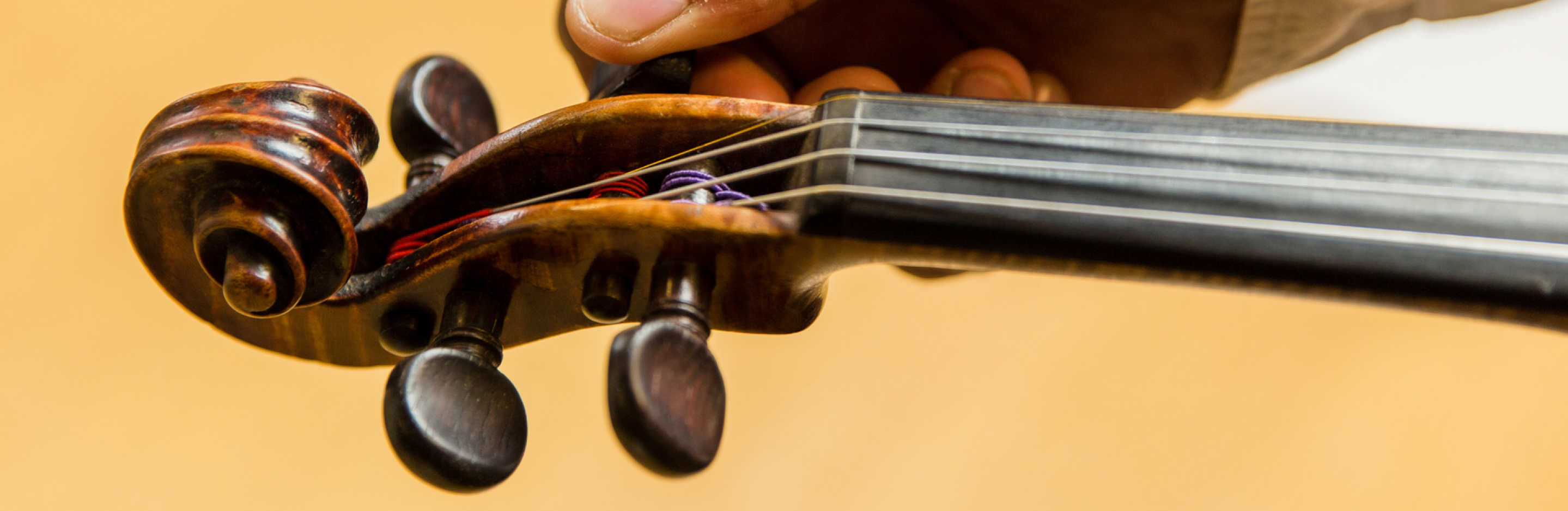 Amati specialists travel the world valuing instruments. We also provide valuations online.
