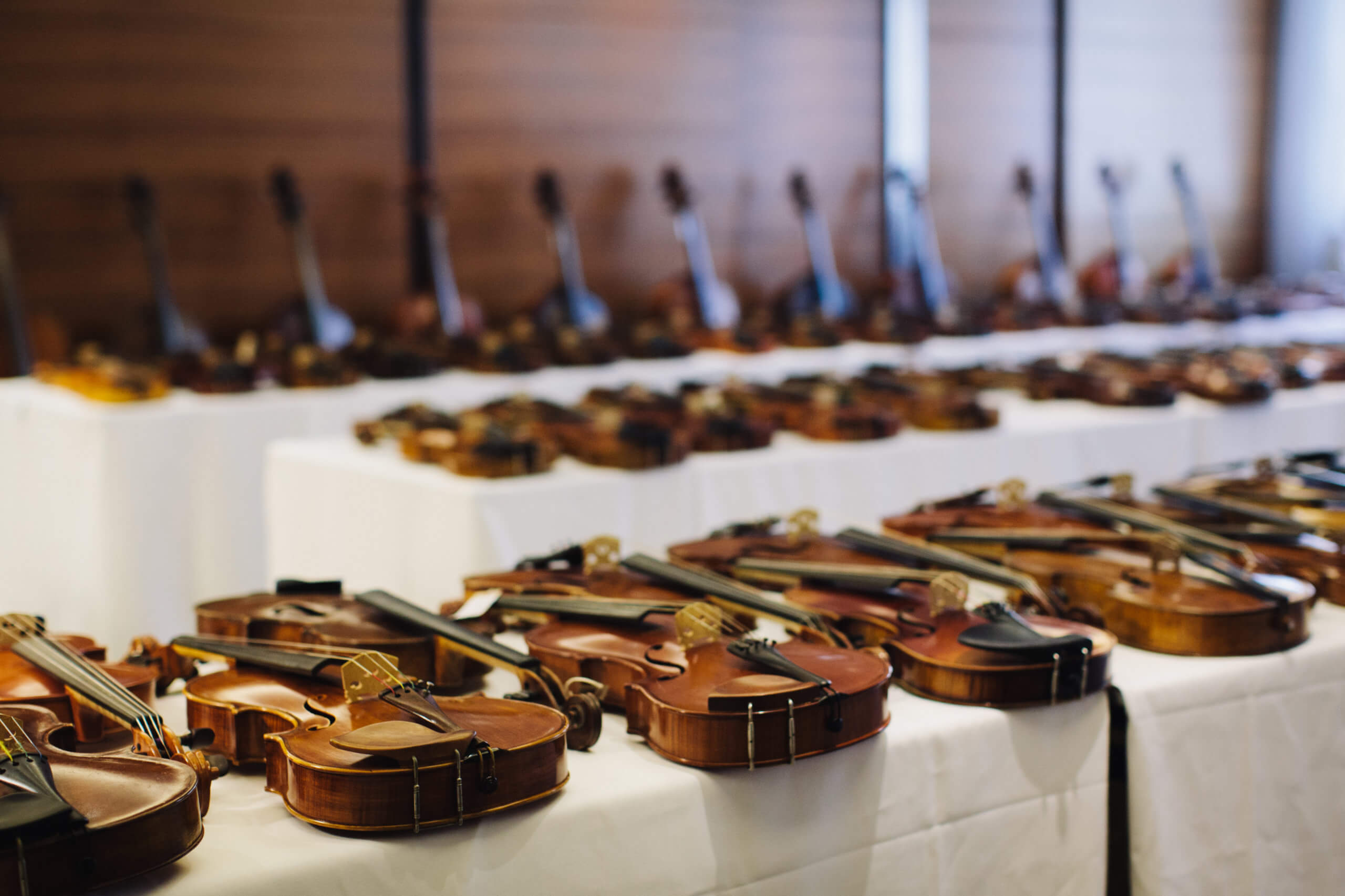 Next Auction - Amati Specialist - 25th January