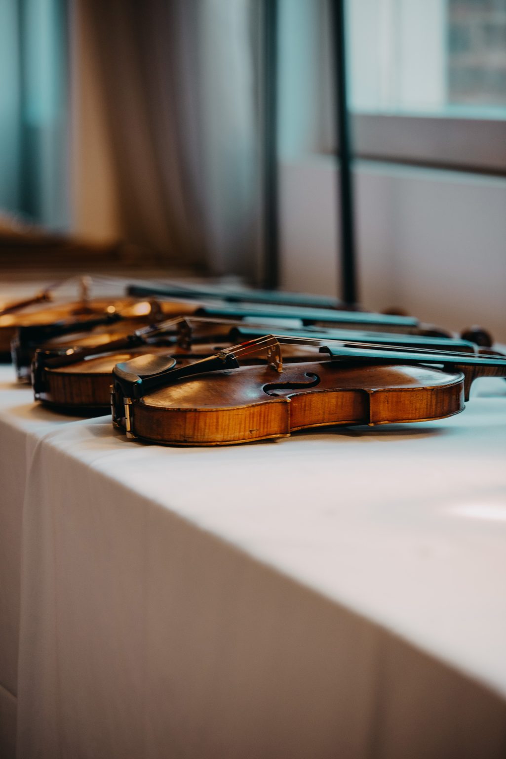 AMATI VIOLIN PRICE visual data 7