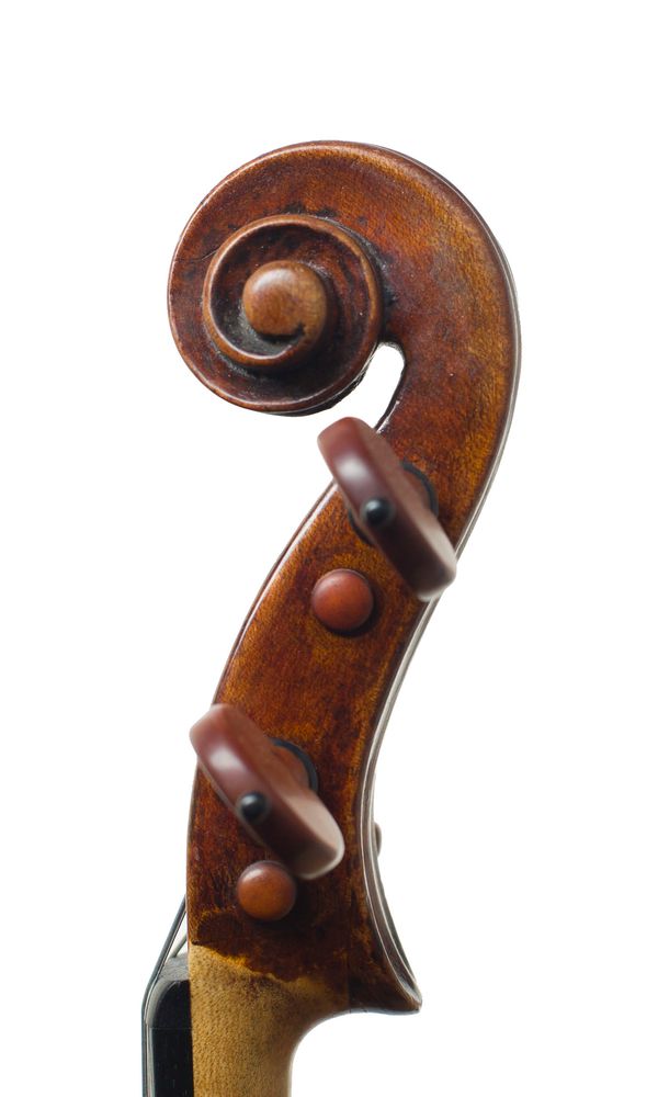 Violin ascribed to a member of the Ventapane Family, scroll
