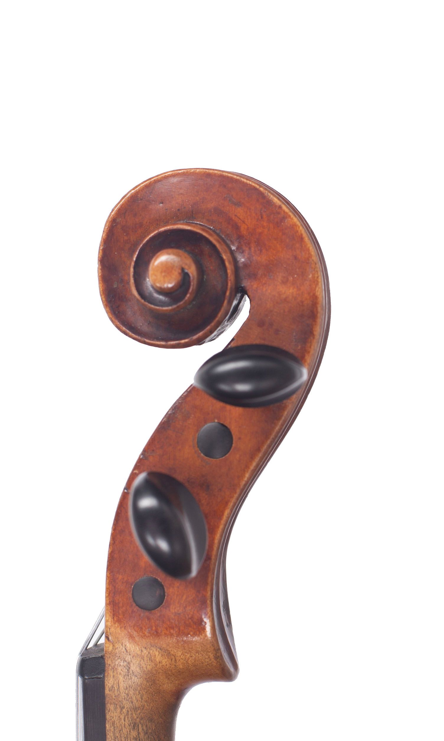 Violin, Workshop of Alfred Moritz, Germany, 1893 — scroll