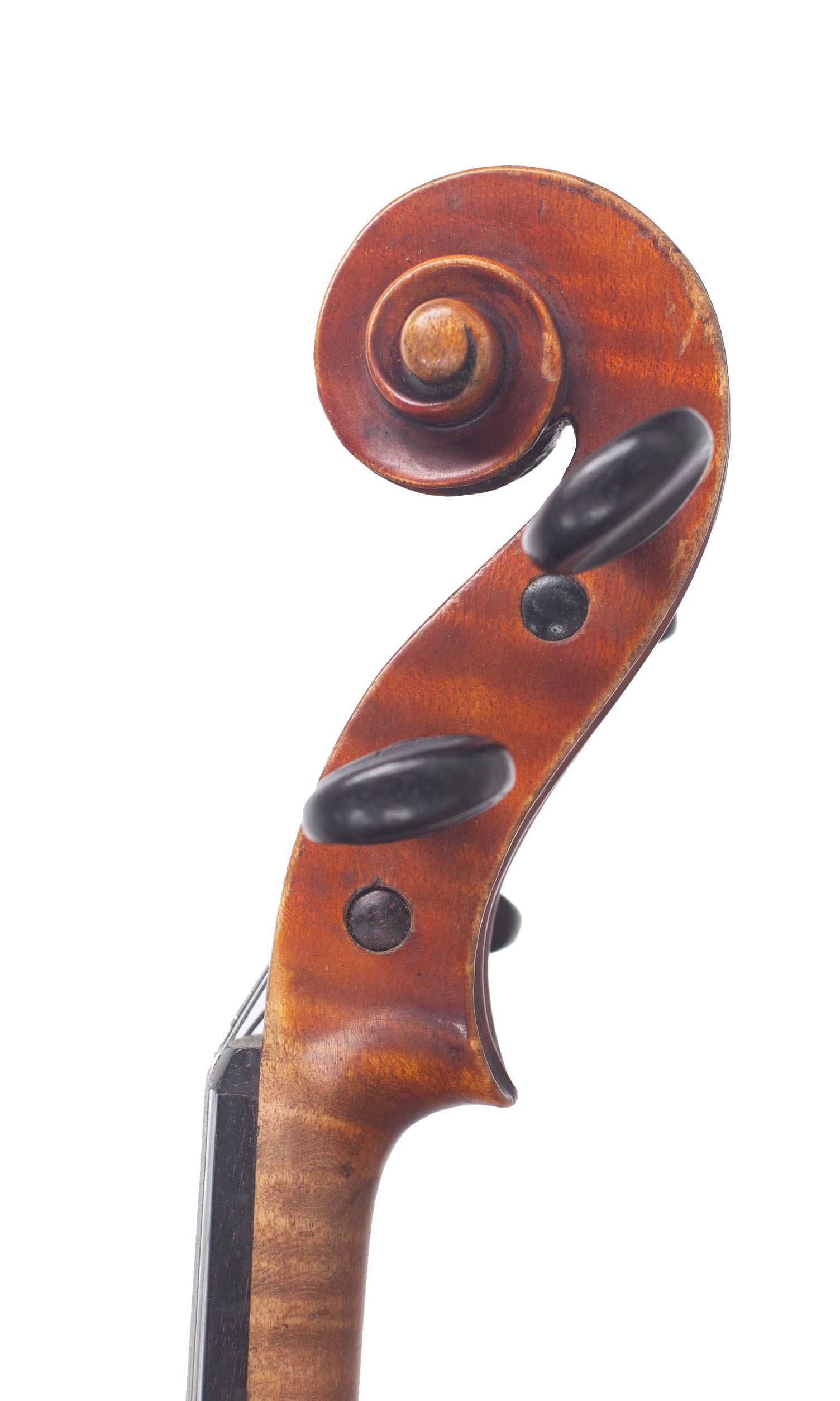 Violin, follower of Antonio Sgarbi, Rome, circa 1900 — scroll