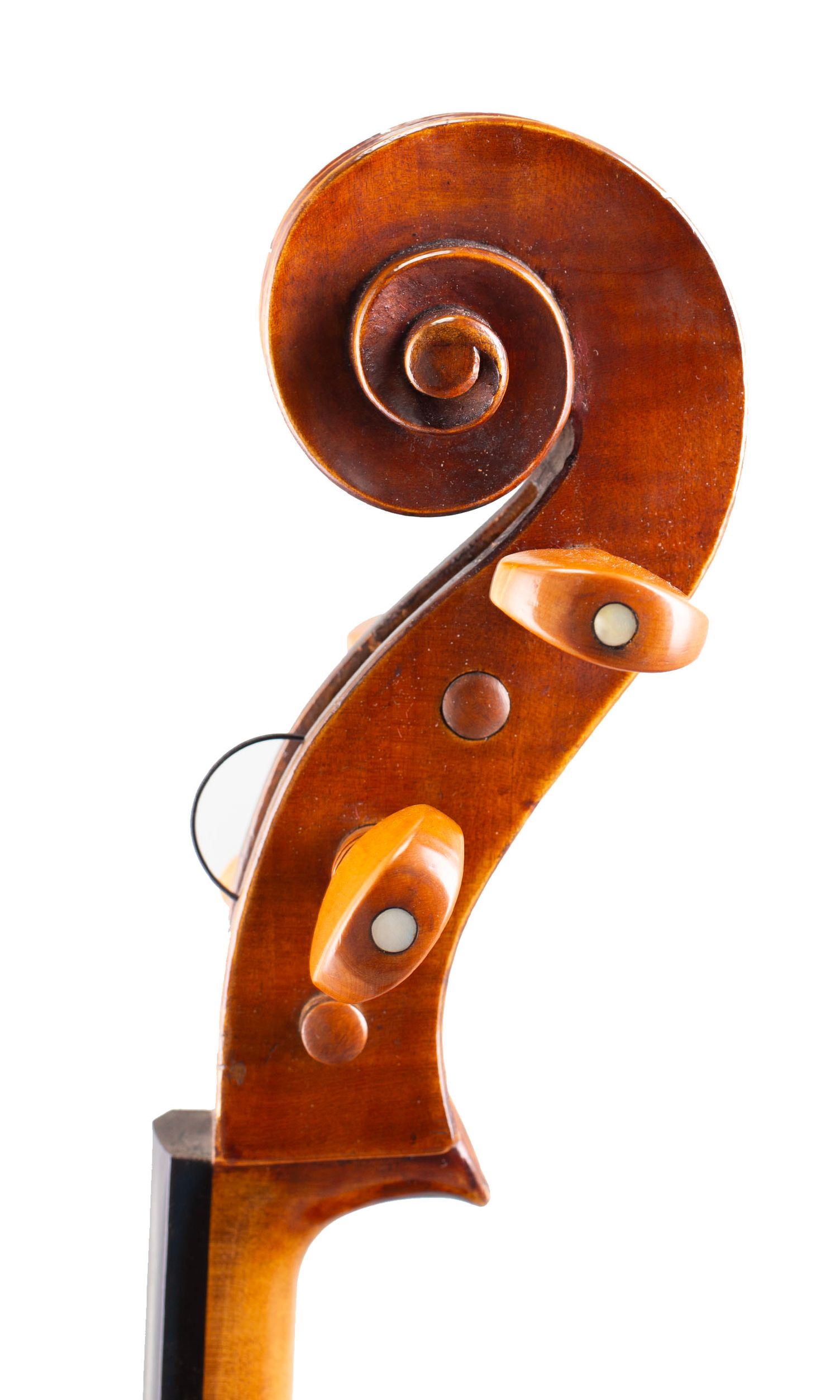 Cello by Thomas Kennedy, London, 1808 — scroll