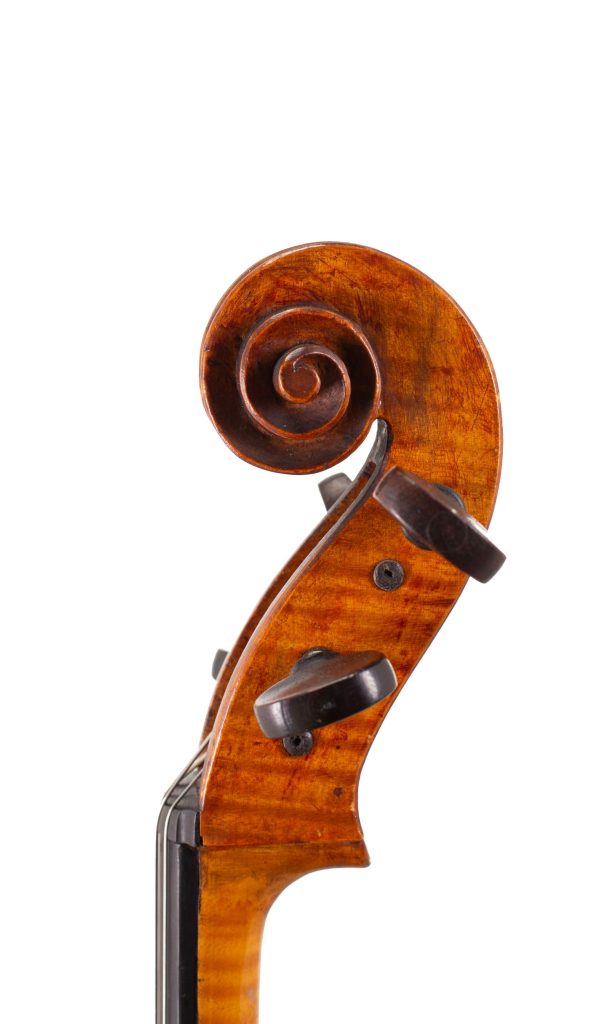 One-eighths sized cello by William Walker, Scotland, 1903 — scroll
