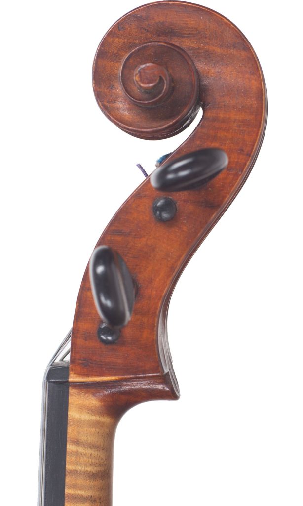 Viola by S. H. Dodd, London, 20th Century — scroll