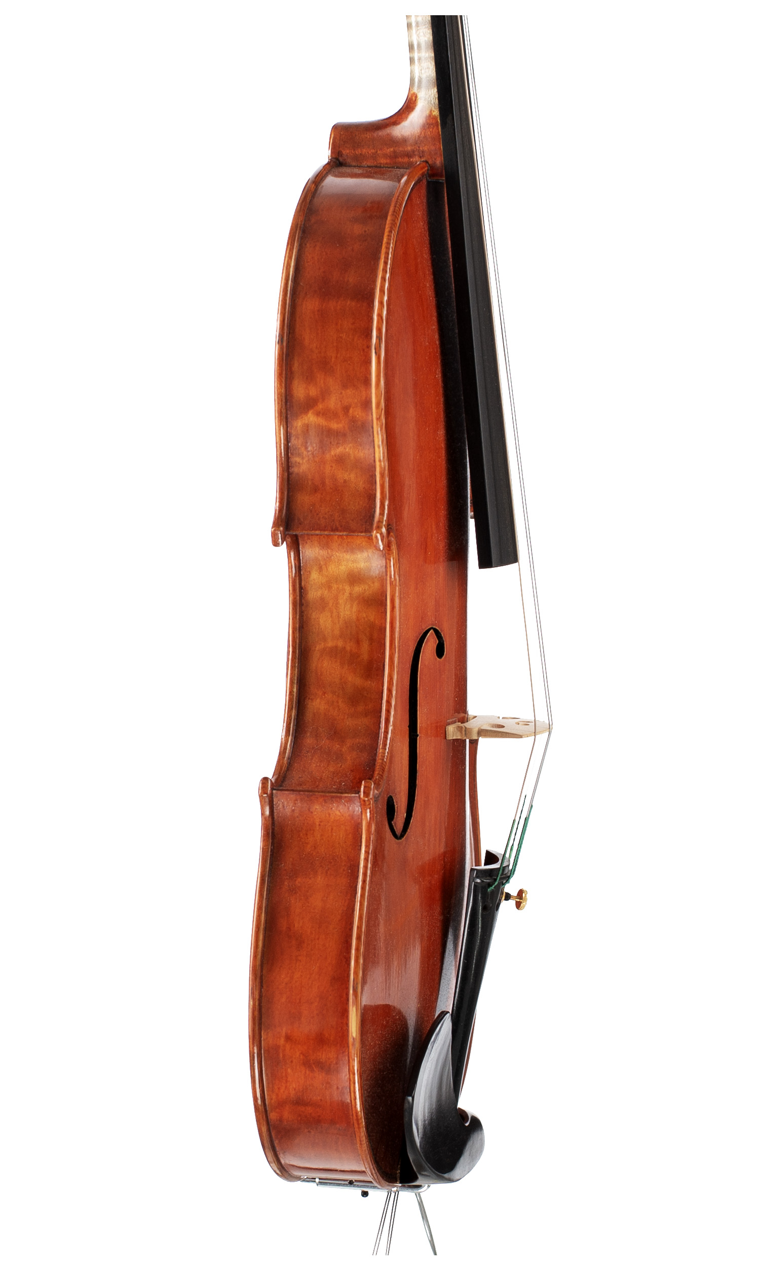 A violin by Antonio Donato, New York, 2018 — angled view, 80°