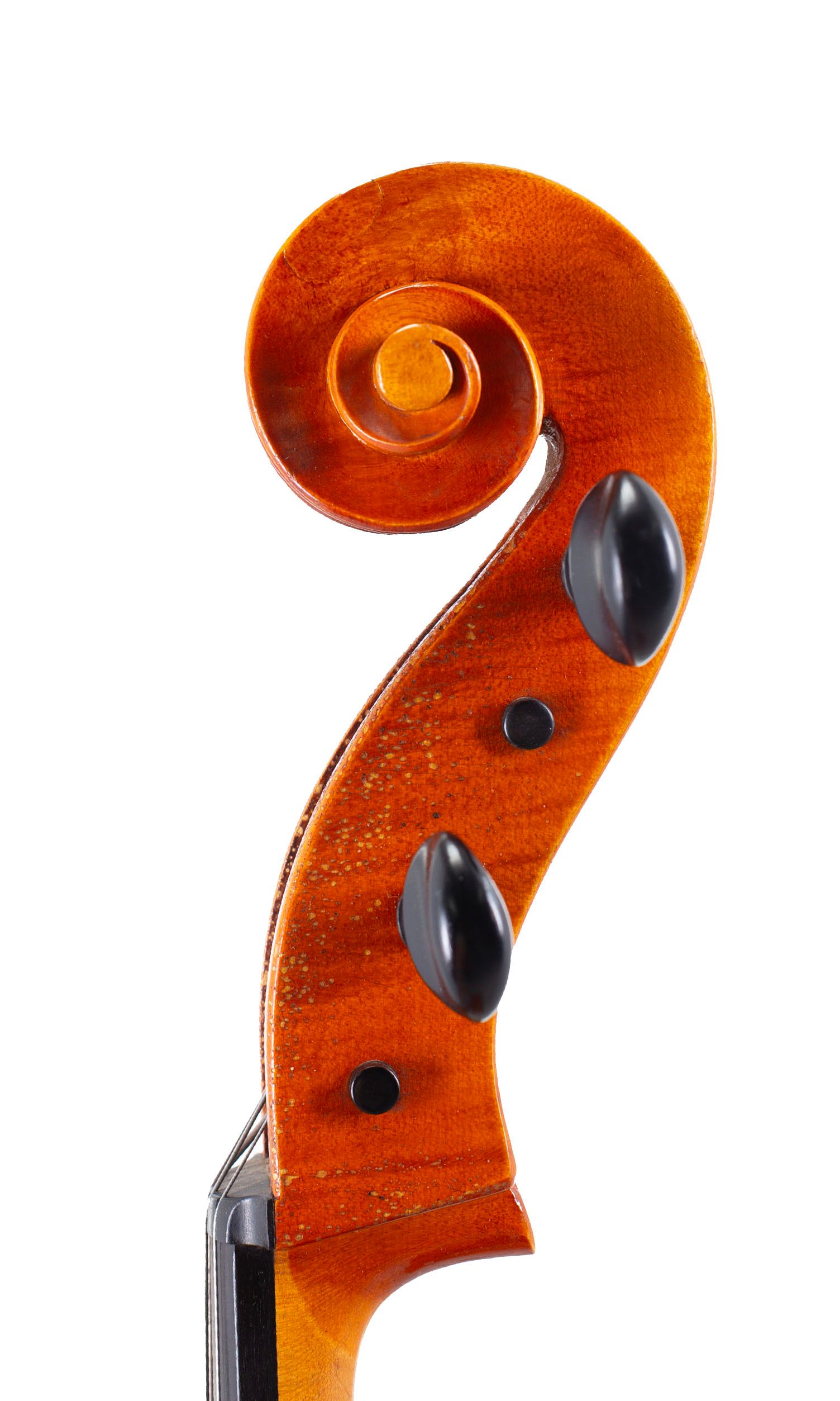 Cello, Workshop of Ernst Heinrich Roth, Bubenreuth, 1978 — scroll