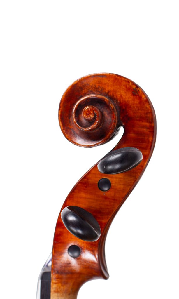 Violin by William Glenister, London, 1899 — scroll