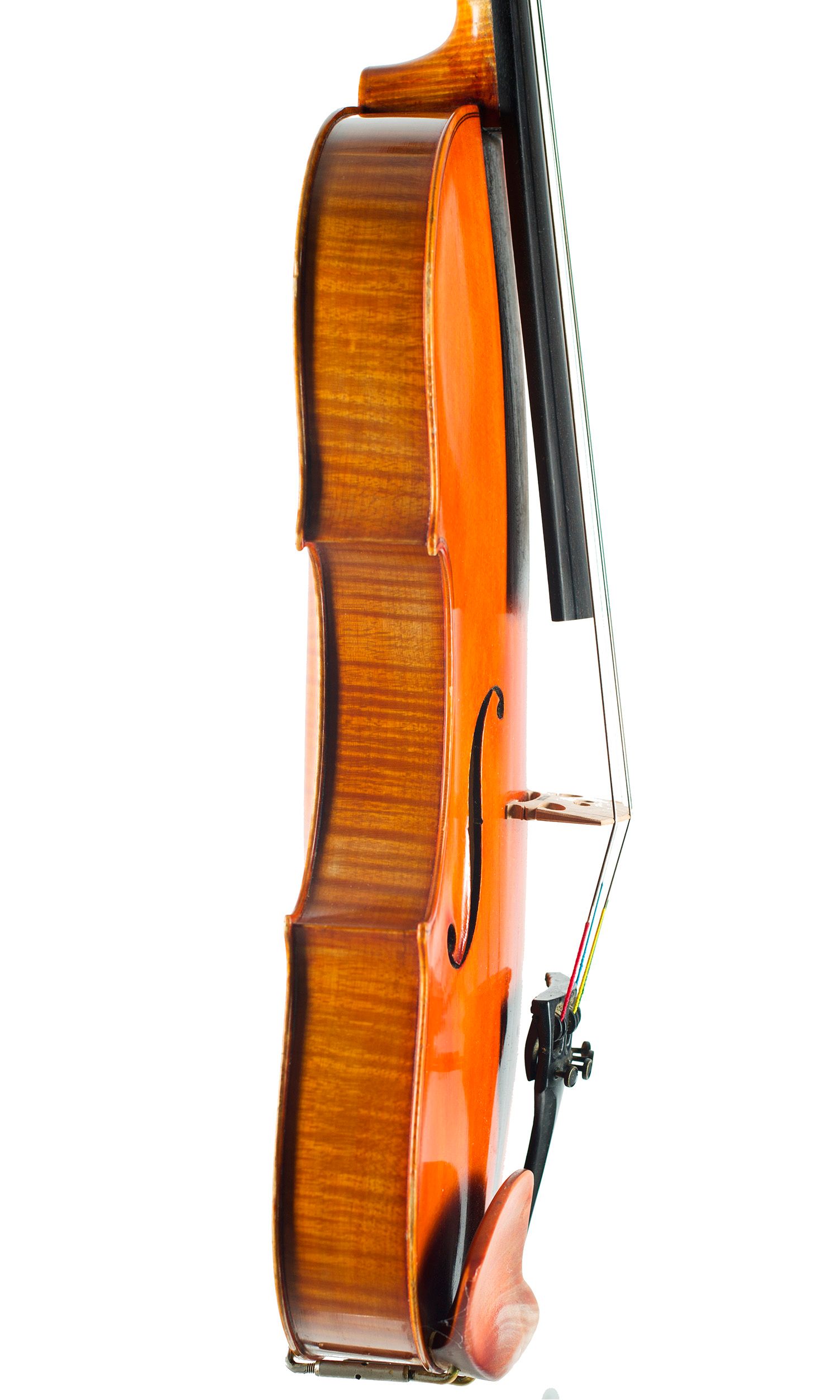 Viola by W. H. van Leeuwen, Scheveningen, 1977 — angled view, 80°