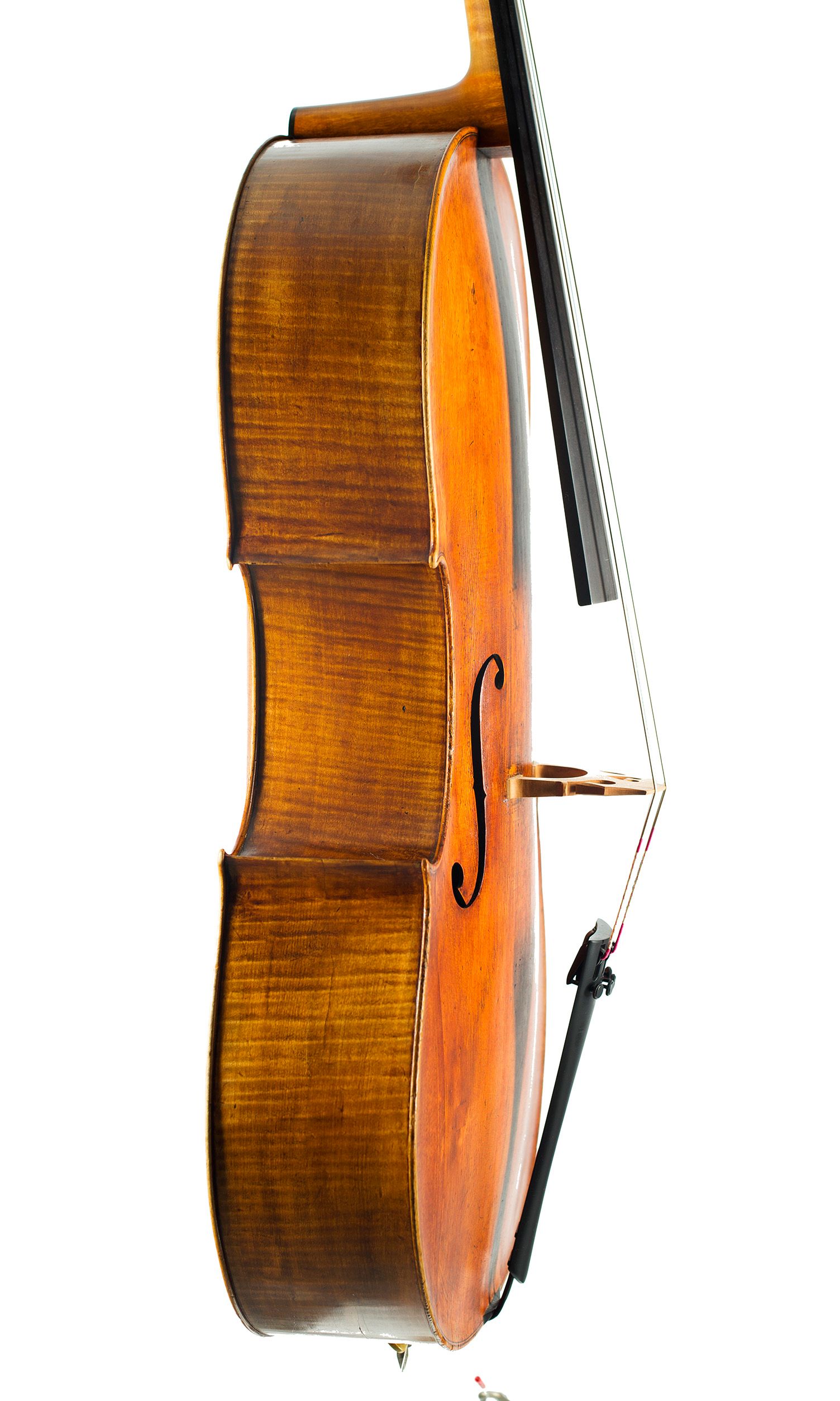 Cello by John Morris, Bath — angled view, 80°