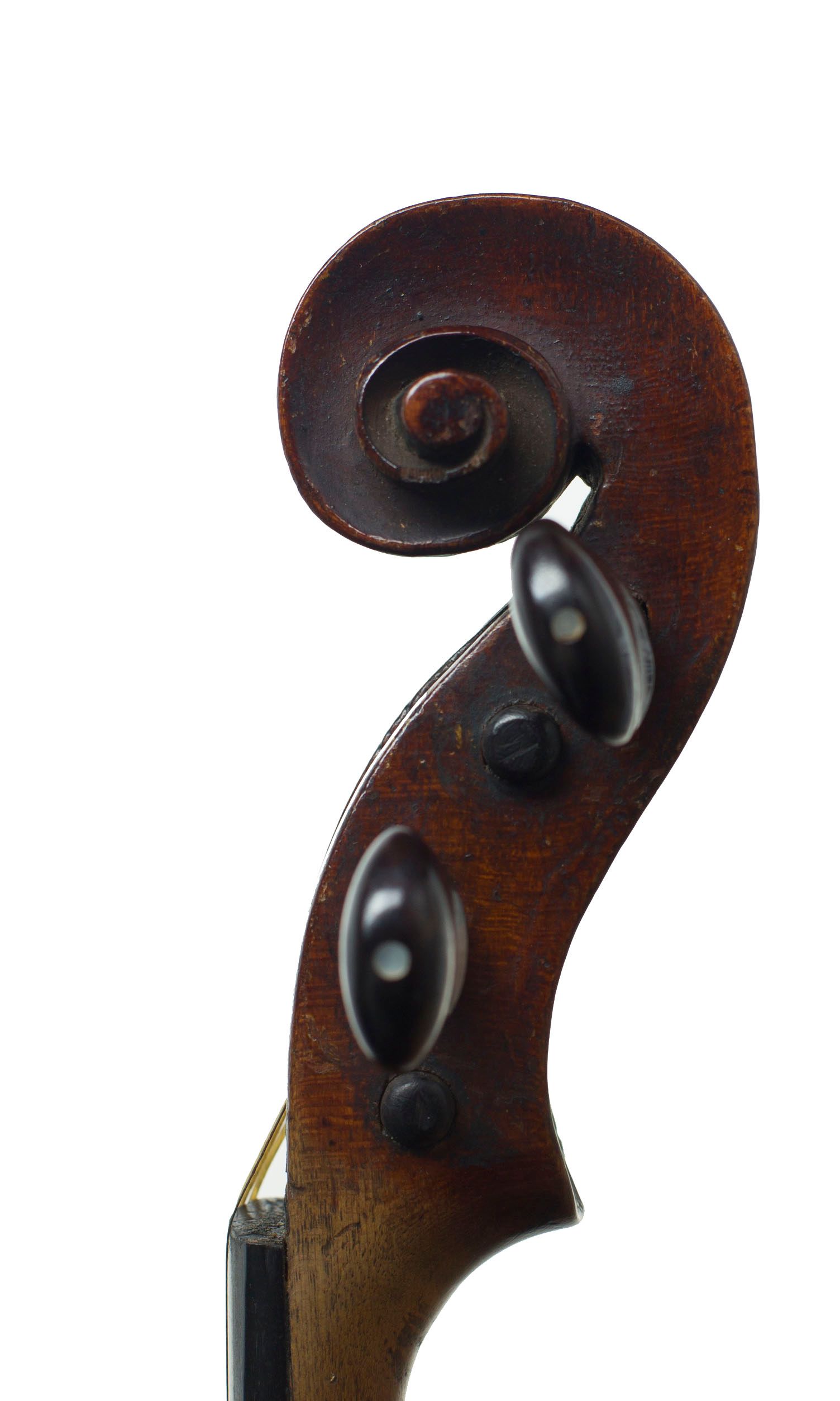 Violin, Workshop of Pretzschner, Neukirchen, circa 1790 — scroll