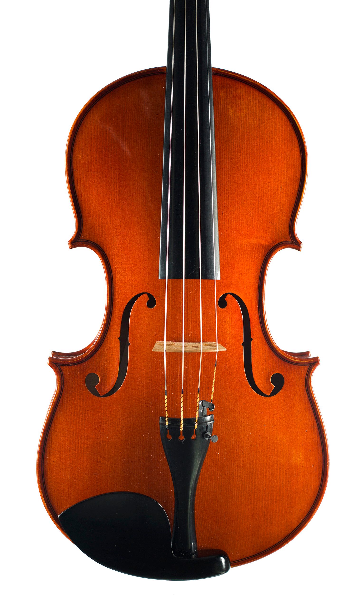 Viola by Enzo Barbieri, Mantua, 1980 — front
