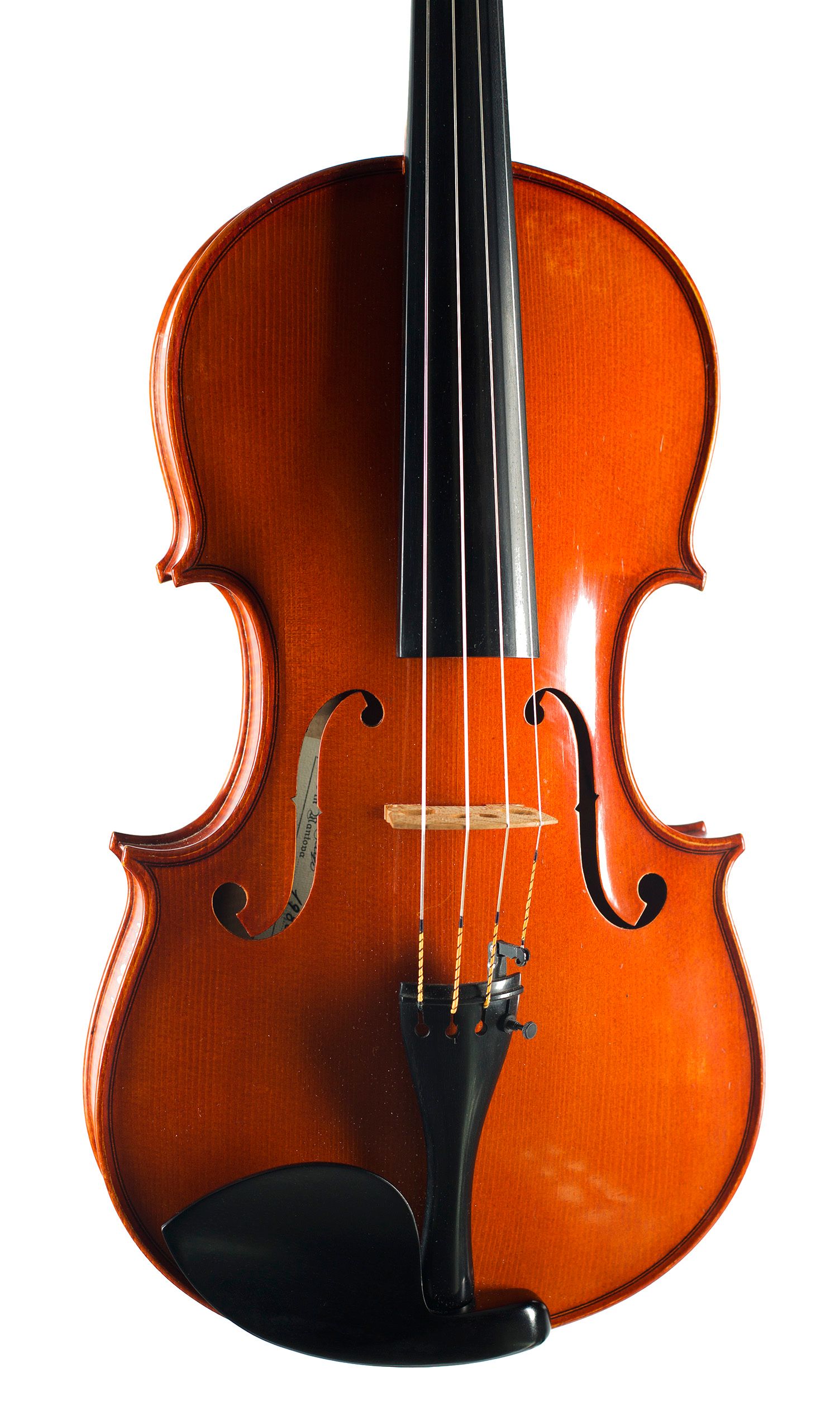 Viola by Enzo Barbieri, Mantua, 1980 — angled view, 10°