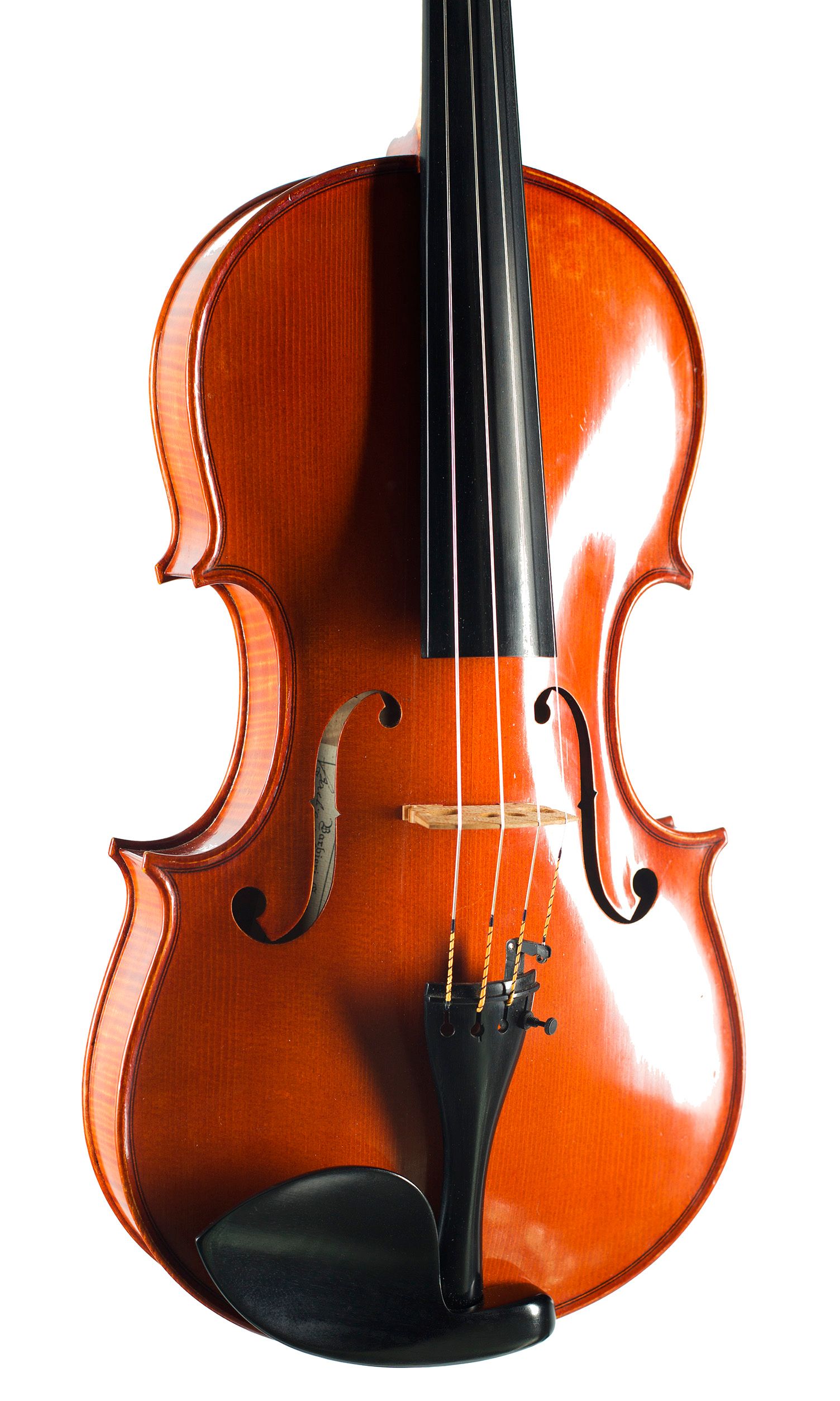 Viola by Enzo Barbieri, Mantua, 1980 — angled view, 20°