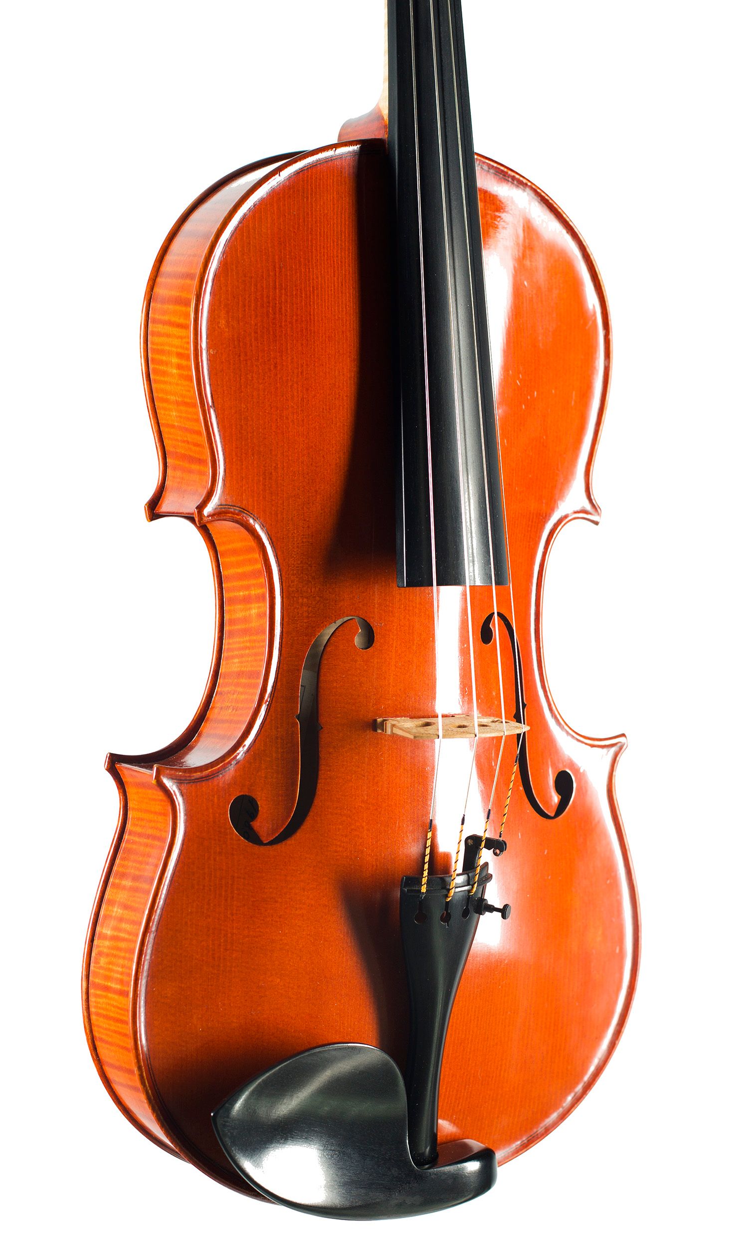 Viola by Enzo Barbieri, Mantua, 1980 — angled view, 30°