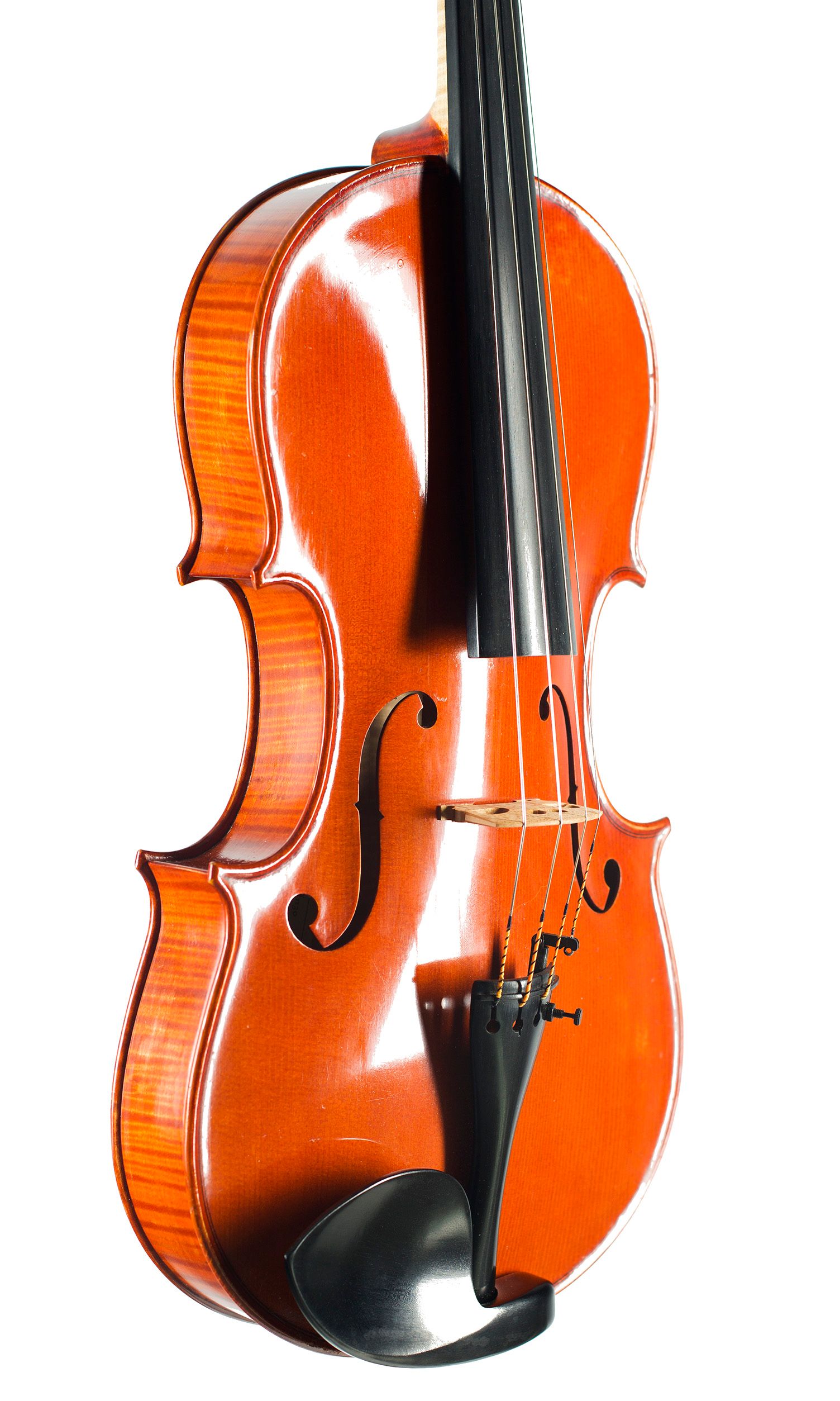 Viola by Enzo Barbieri, Mantua, 1980 — angled view, 40°