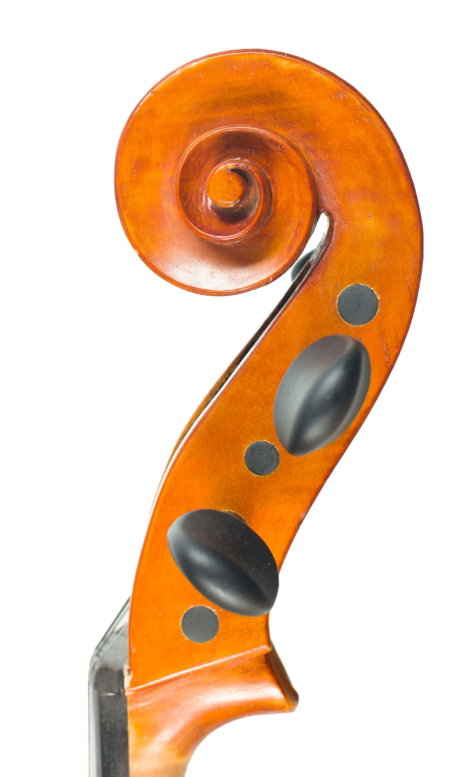 Five-string cello, Workshop of Ian Highfield, Birmingham, 1981 — scroll