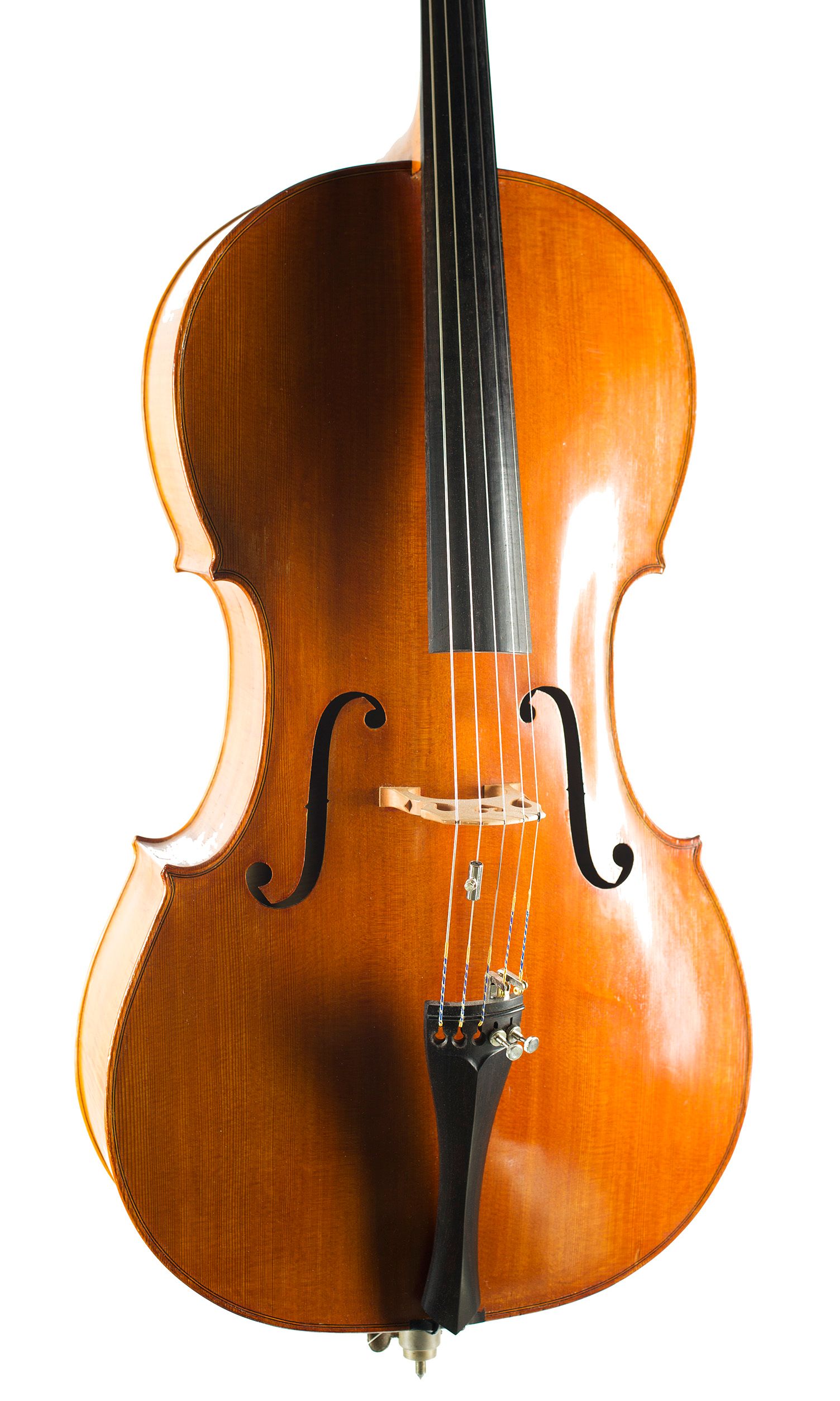 Five-string cello, Workshop of Ian Highfield, Birmingham, 1981 — angled view, 20°