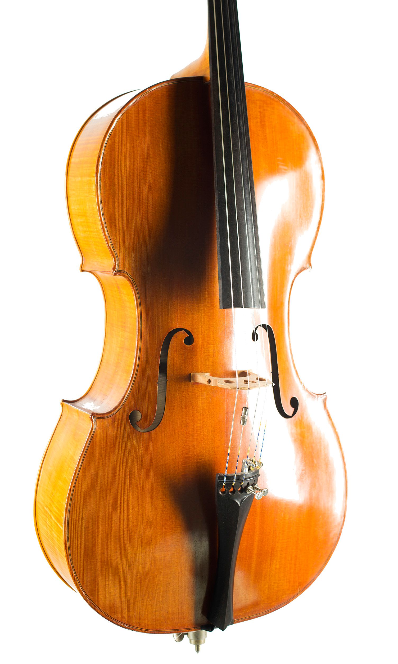 Five-string cello, Workshop of Ian Highfield, Birmingham, 1981 — angled view, 30°