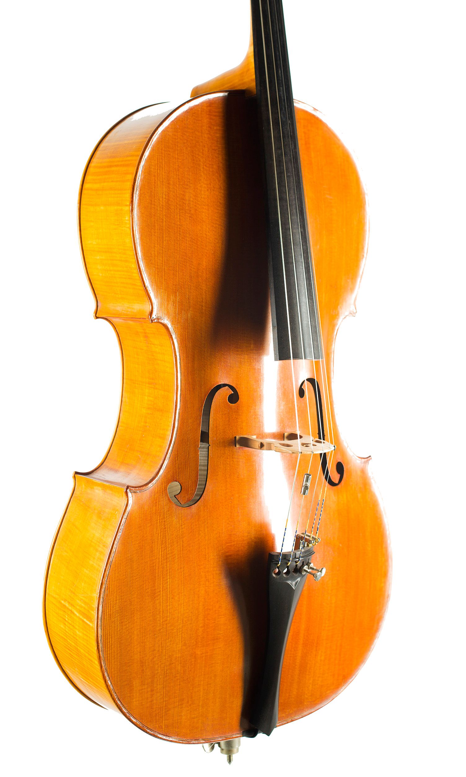 Five-string cello, Workshop of Ian Highfield, Birmingham, 1981 — angled view, 40°