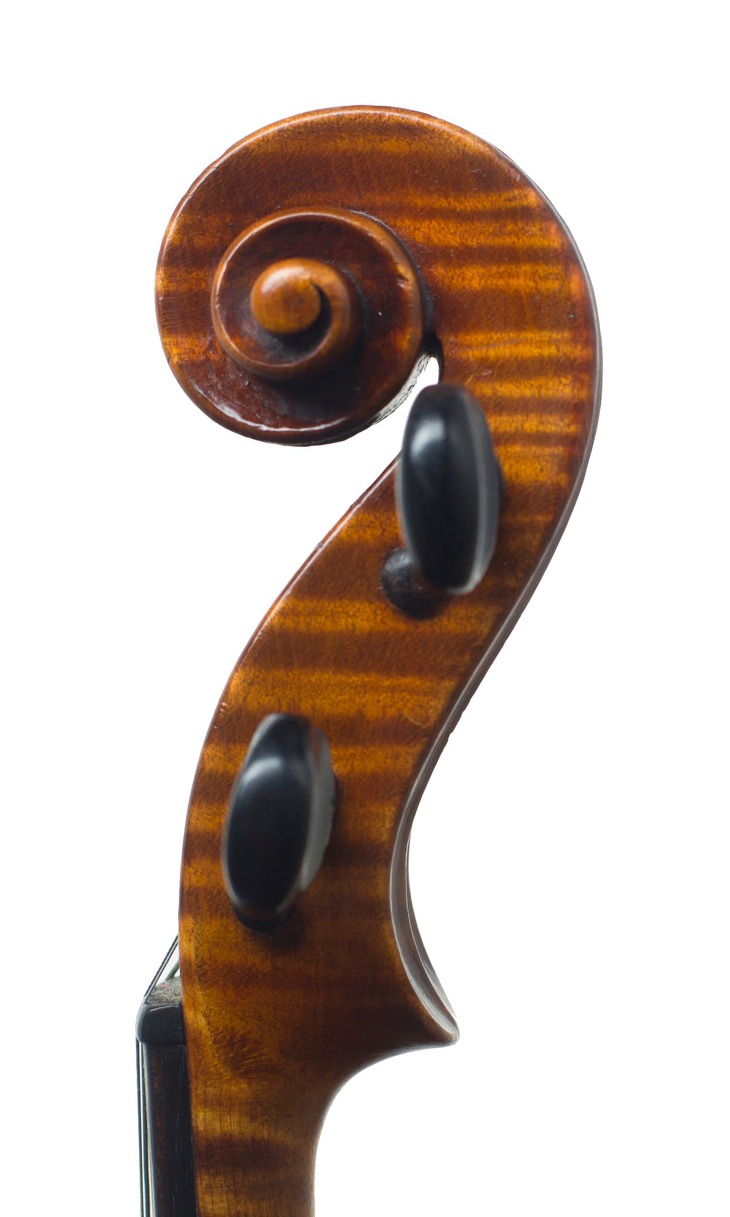 Violin by James Cole, Manchester, 1887 — scroll