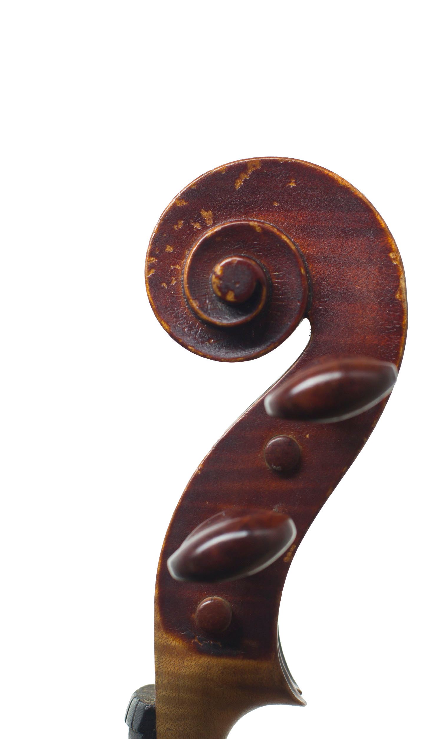 Violin by James Meek, Carlisle, 1893 — scroll