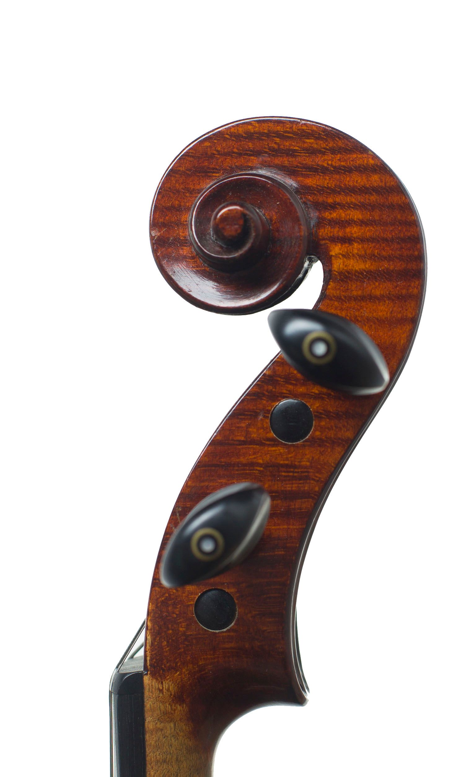 Violin, Workshop of Aristide Cavalli, Cremona, 1923 — scroll