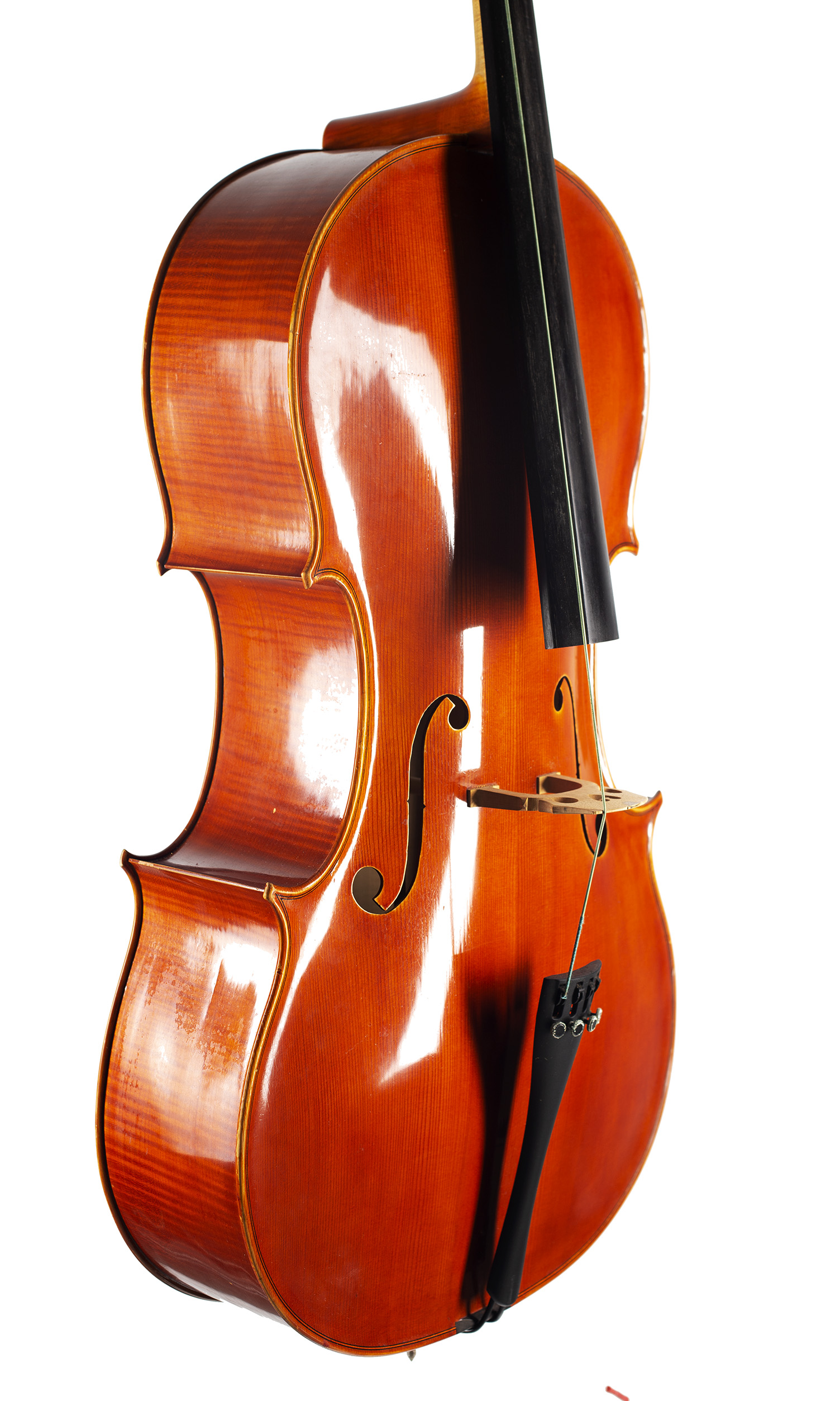 A cello by Ragnar Hayn, Newark, 1999 — angled view, 50°