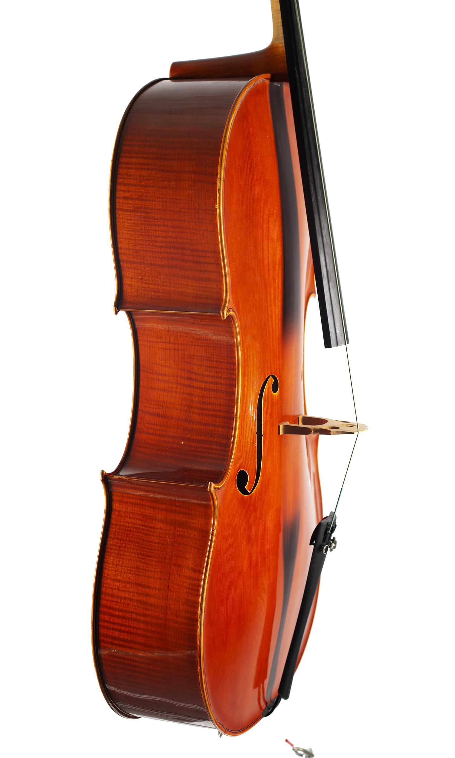 A cello by Ragnar Hayn, Newark, 1999 — angled view, 70°