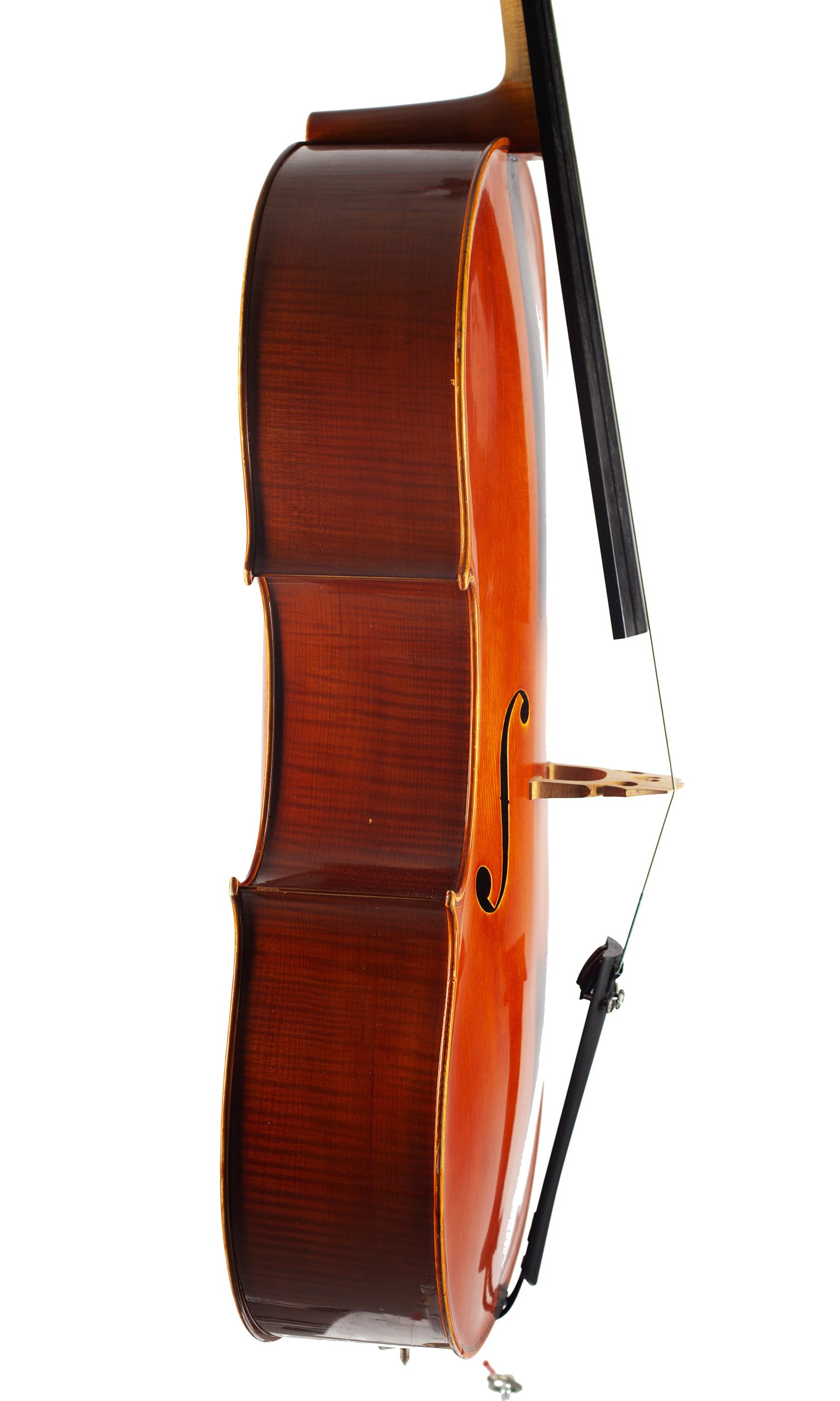 A cello by Ragnar Hayn, Newark, 1999 — angled view, 80°