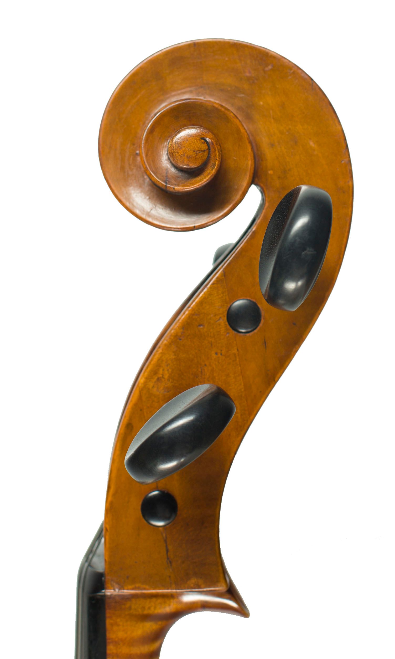 Cello by Thomas Kennedy, London, circa 1810 — scroll