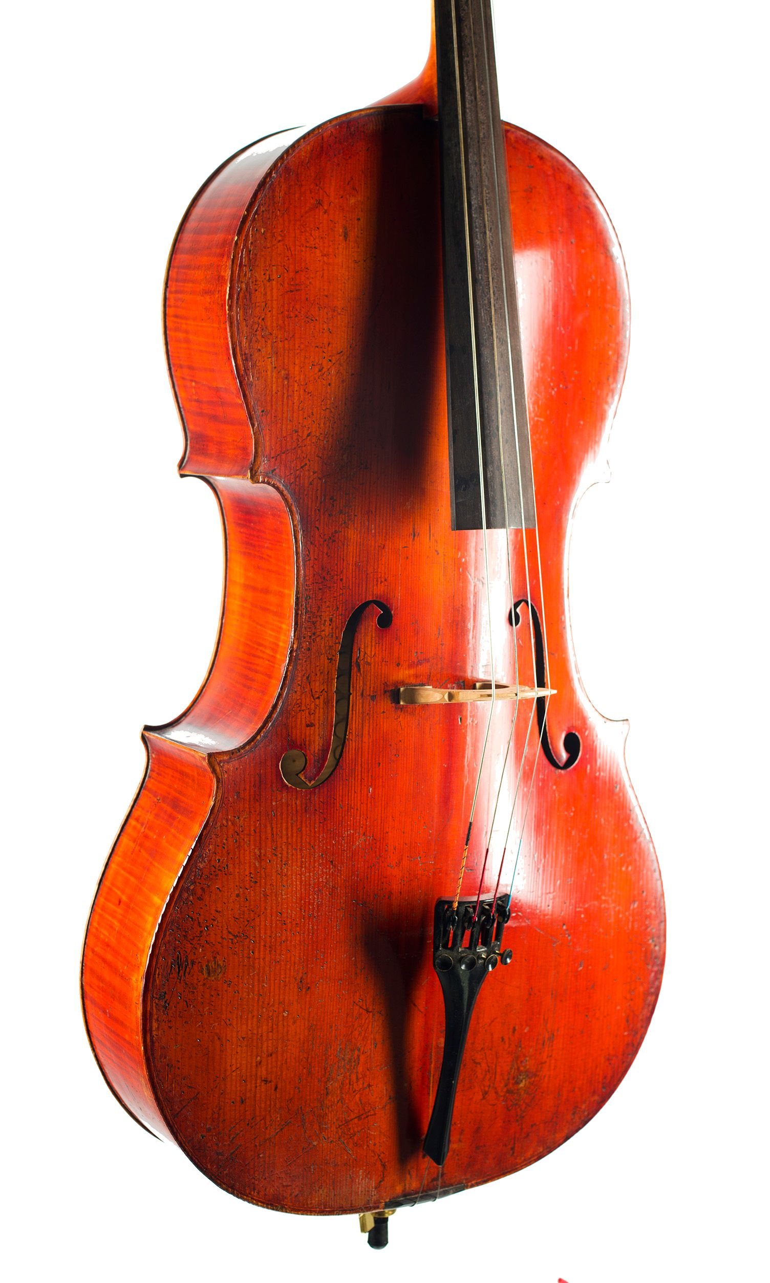 Cello by Louis Noebe, Homburg, 1882 — angled view, 30°