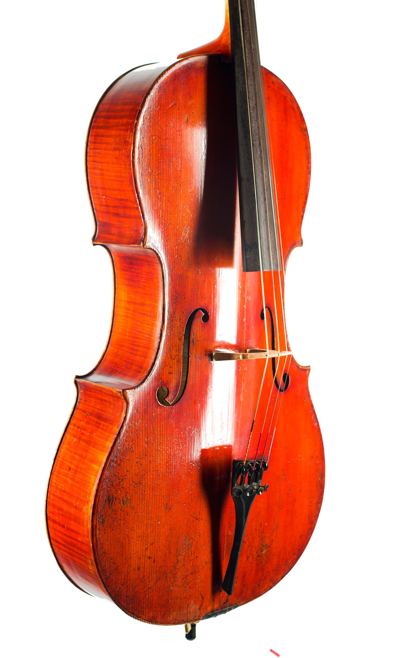 Cello by Louis Noebe, Homburg, 1882 — angled view, 40°