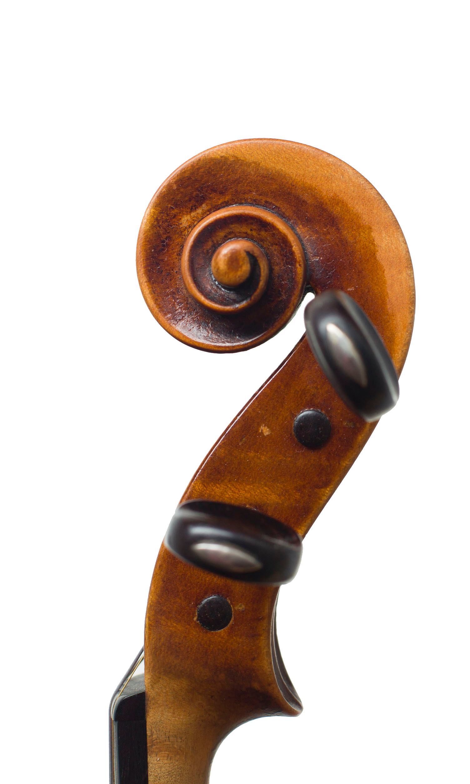 Violin by Franz Joseph Koch, Dresden, 1923 — scroll