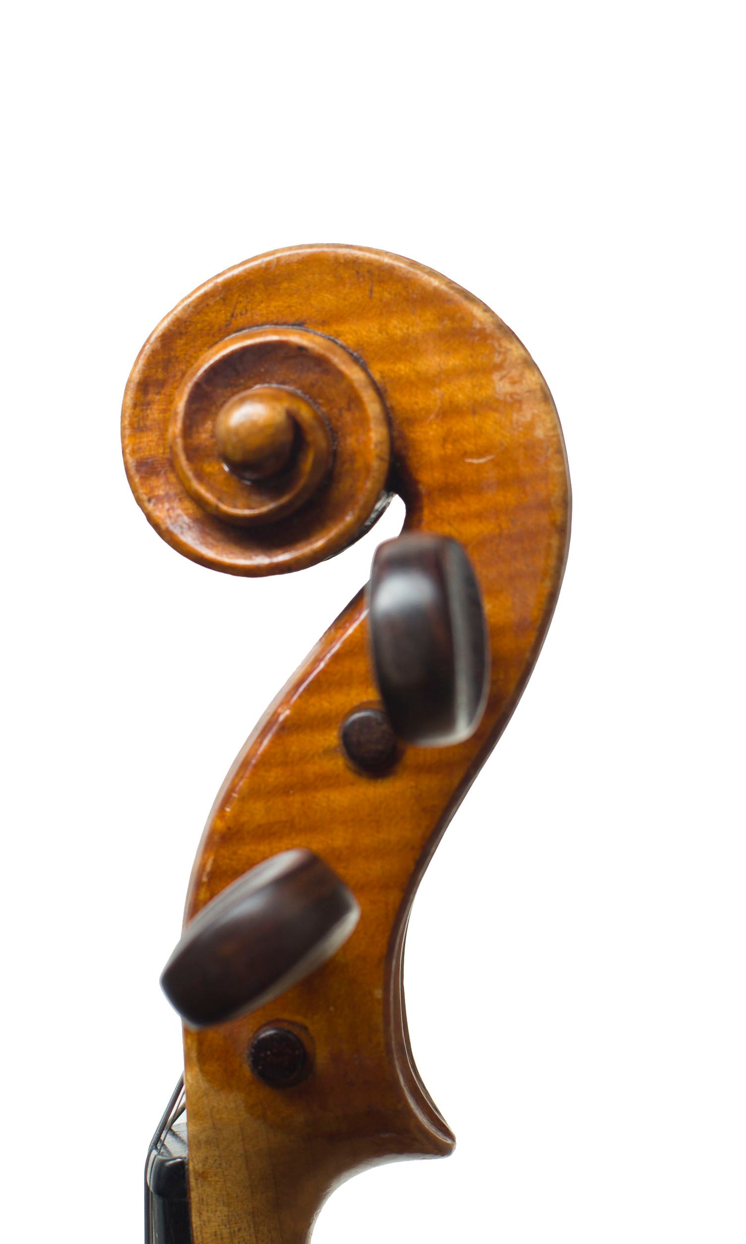 Violin by John Jeffrey, Chirnside, 1887 — scroll