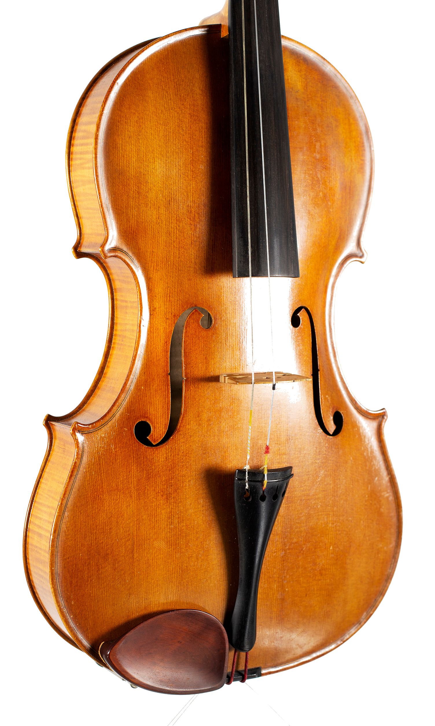 Viola by R. Roberts, 1951 — angled view, 30°