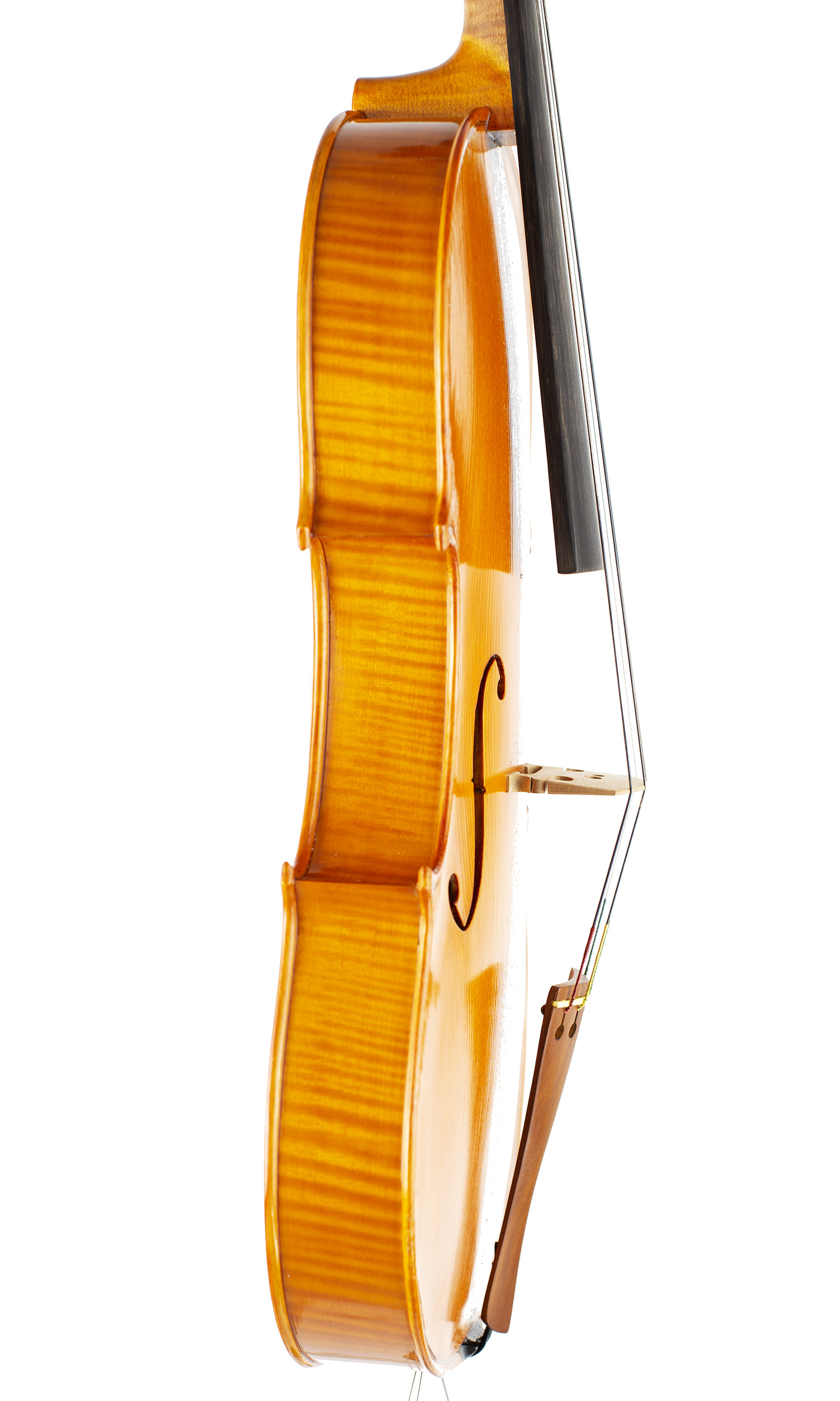 A viola by Harry Dobbs, Peopleton, 1976 — angled view, 80°