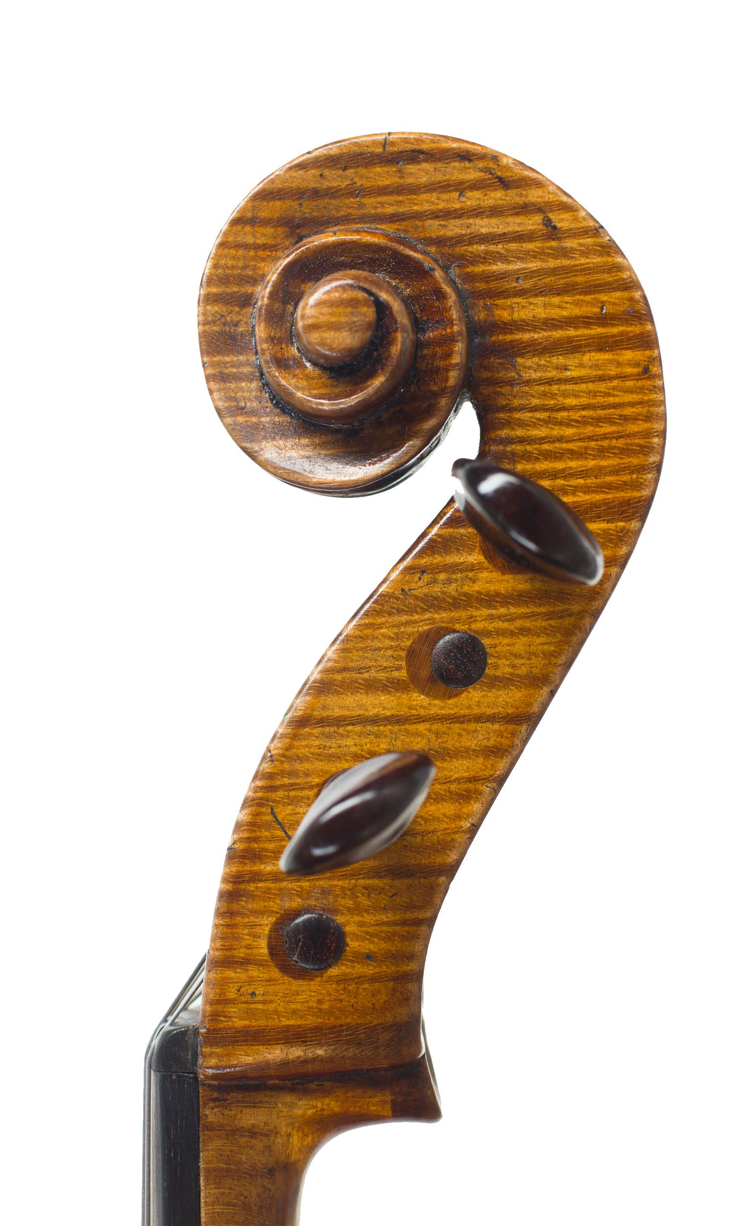Viola by William Piper, Hanbury, circa 2020 — scroll