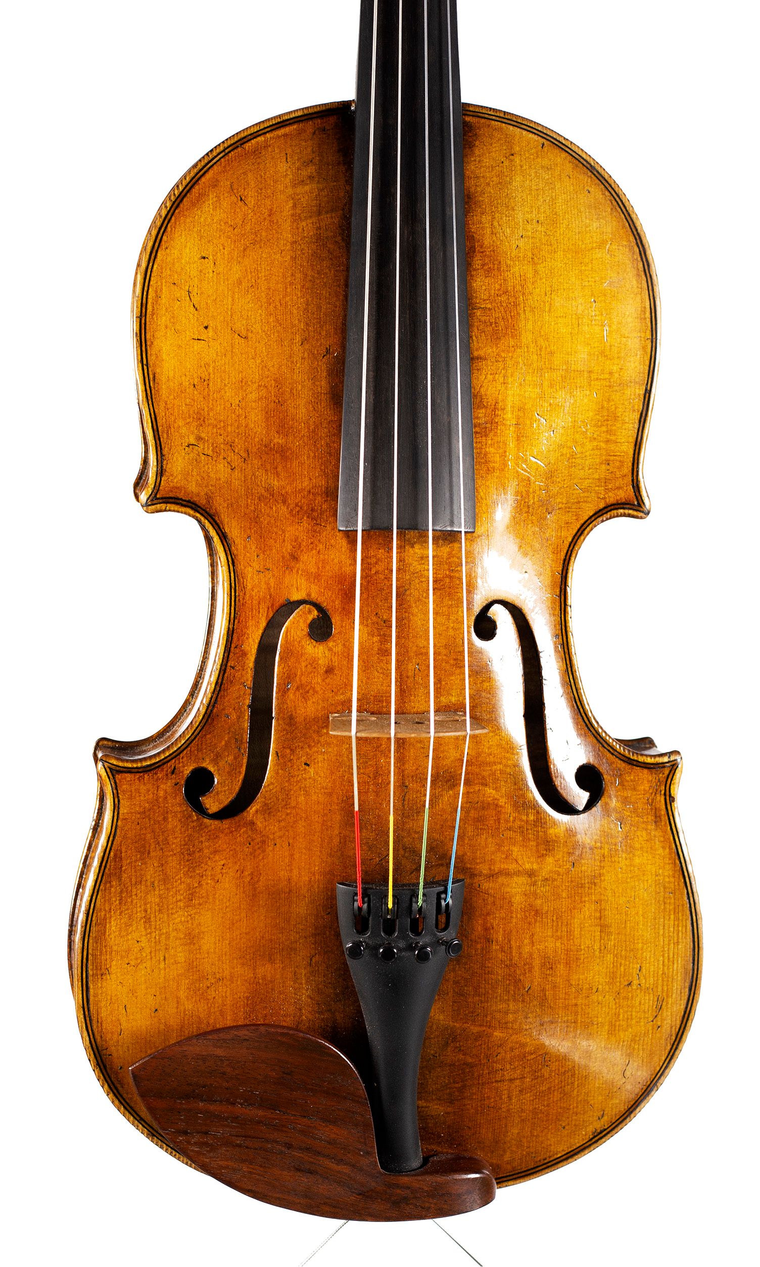 Viola by William Piper, Hanbury, circa 2020 — angled view, 10°