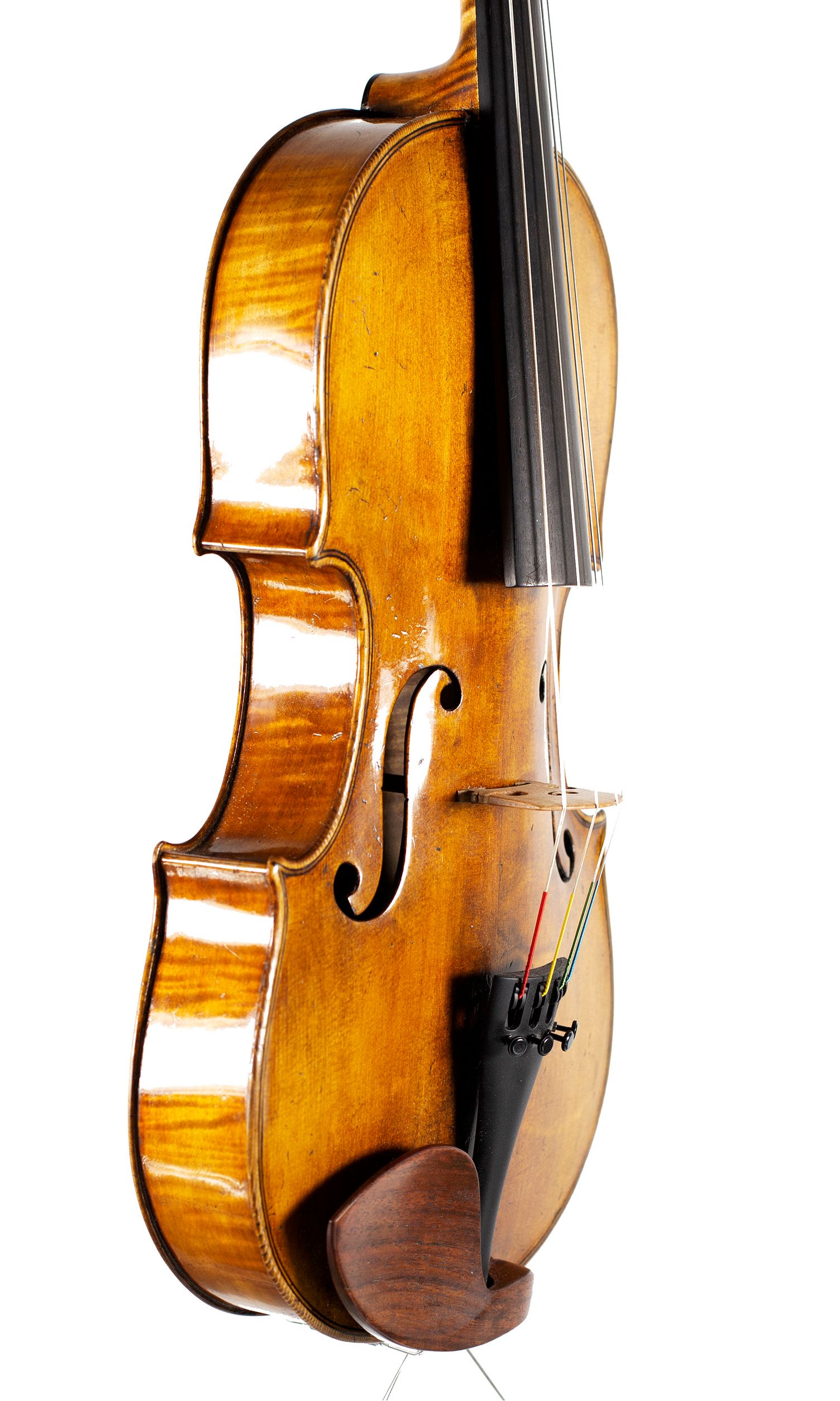 Viola by William Piper, Hanbury, circa 2020 — angled view, 60°