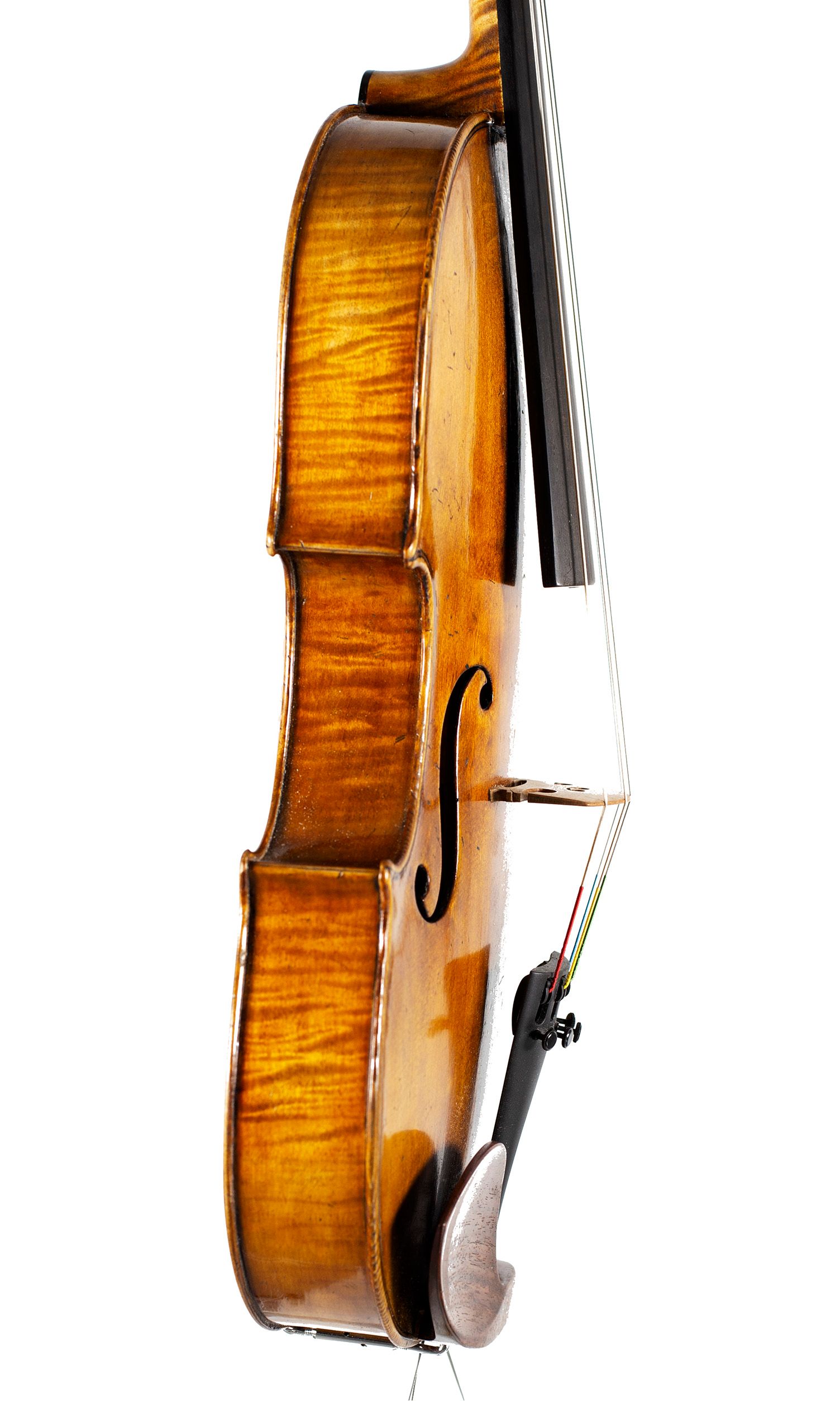 Viola by William Piper, Hanbury, circa 2020 — angled view, 80°