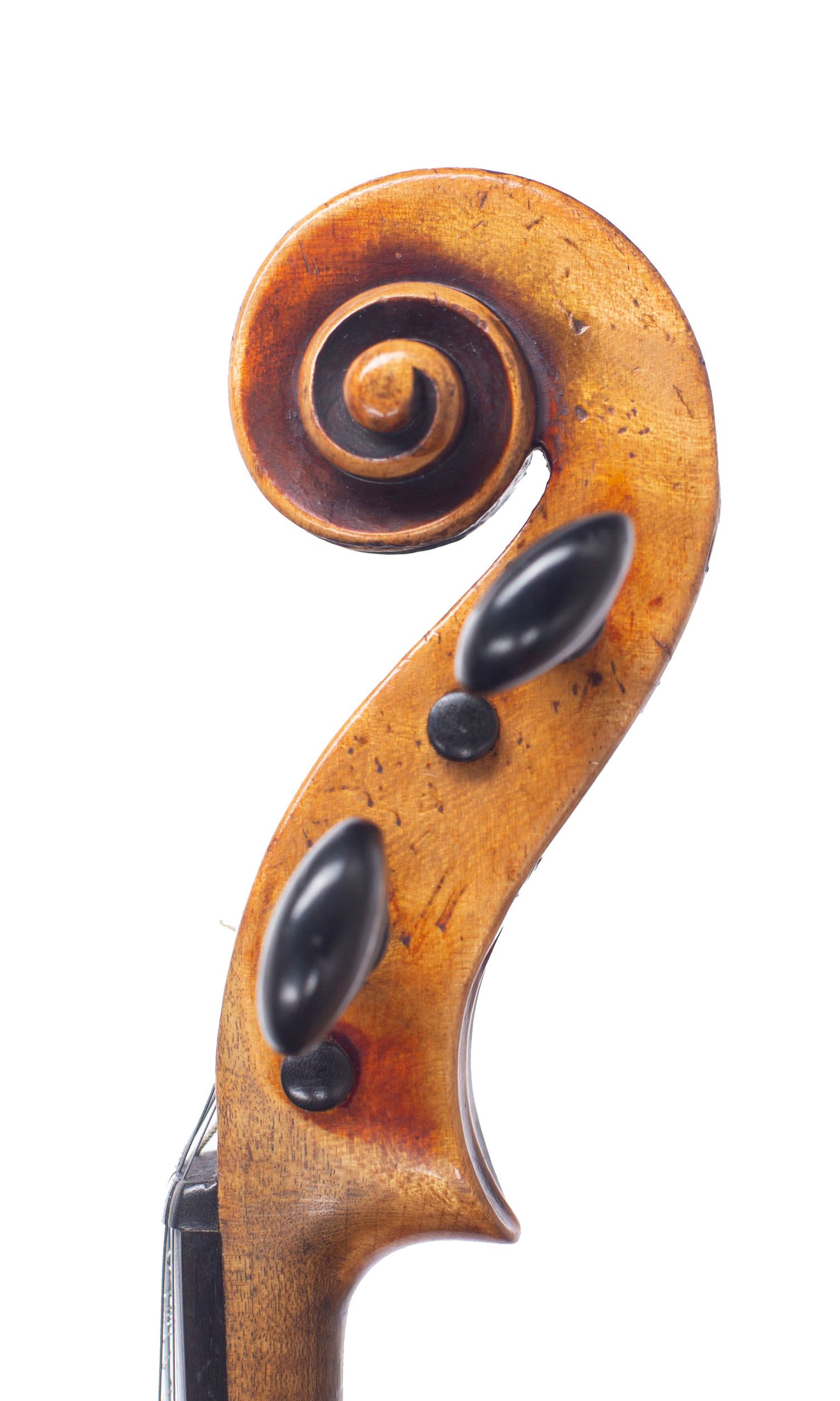 Violin, Workshop of Louis Lowendall, Dresden — scroll