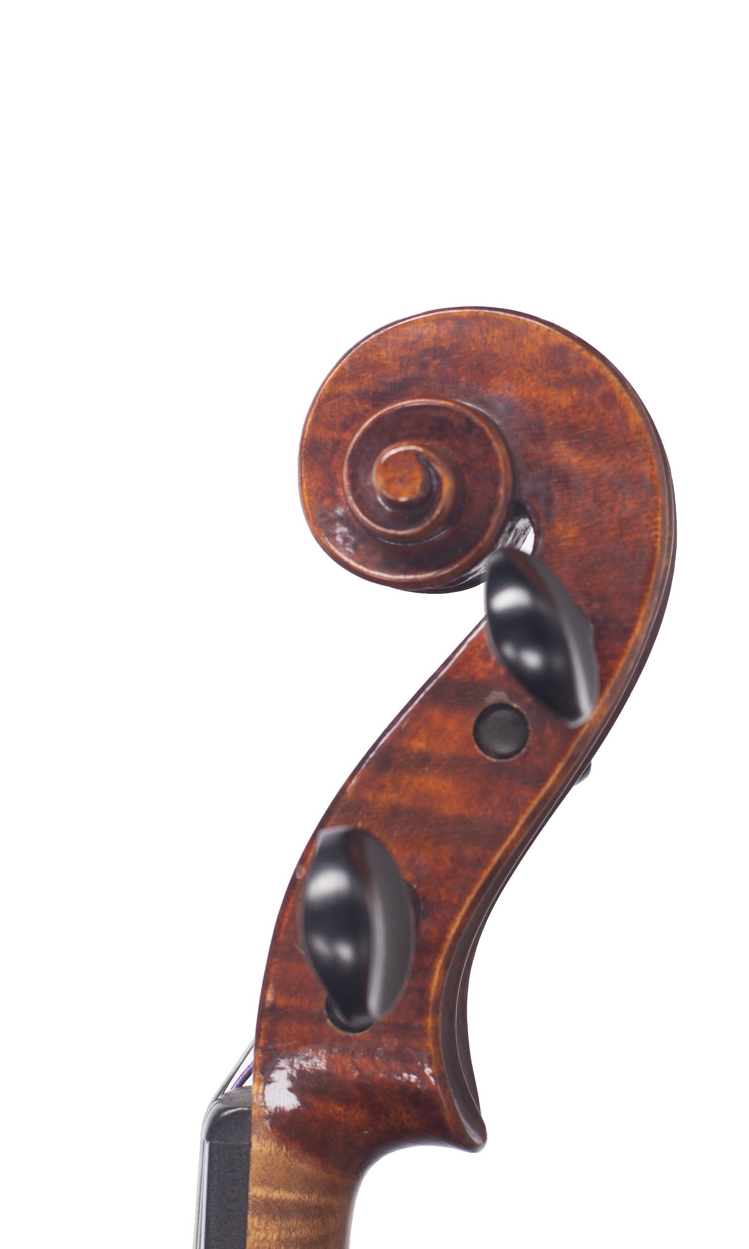 Violin, Workshop of Carlo Storioni, 1901 — scroll