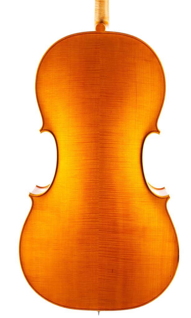 Cello by N. Whitehead, 2011 — back