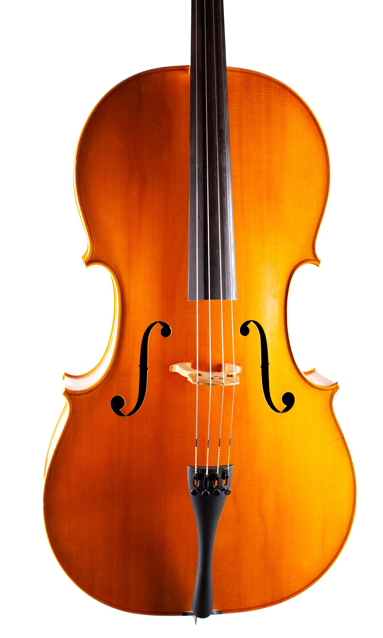Cello by N. Whitehead, 2011 — angled view, 10°