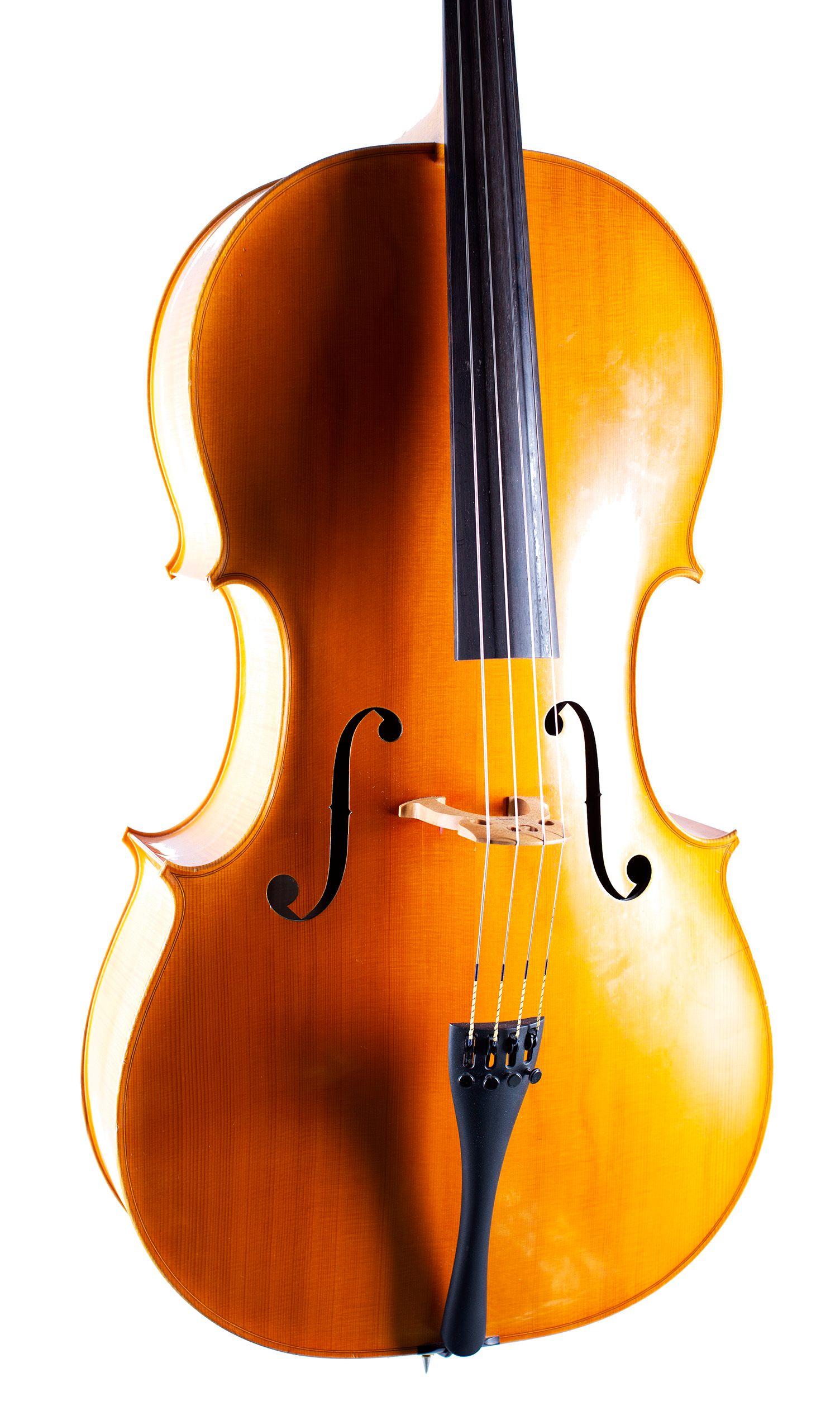 Cello by N. Whitehead, 2011 — angled view, 20°