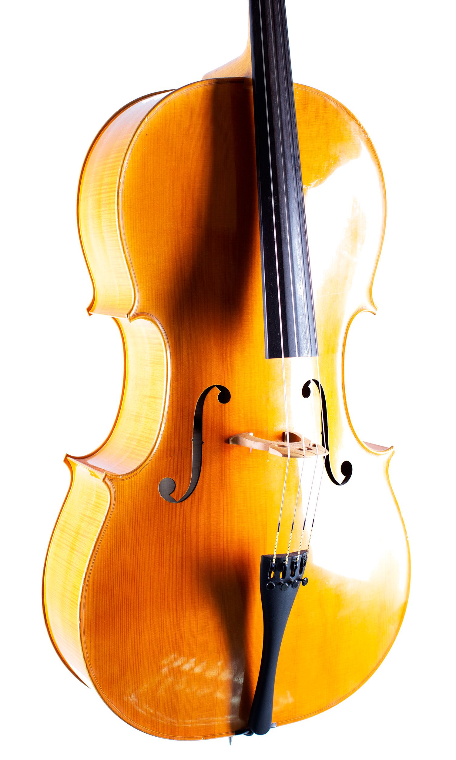 Cello by N. Whitehead, 2011 — angled view, 30°