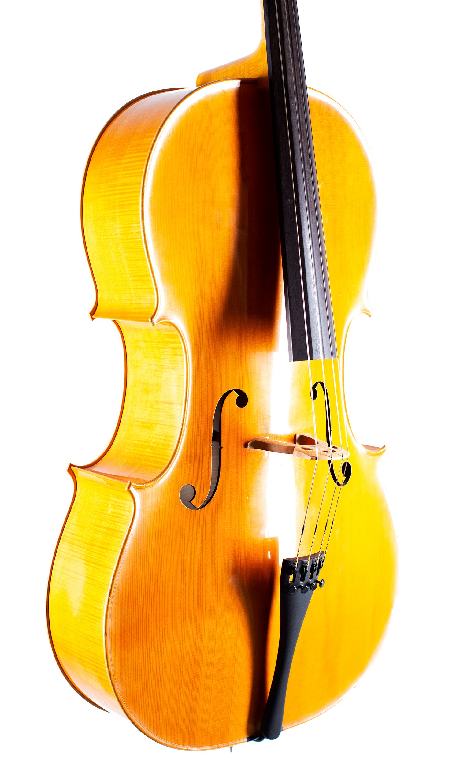 Cello by N. Whitehead, 2011 — angled view, 40°