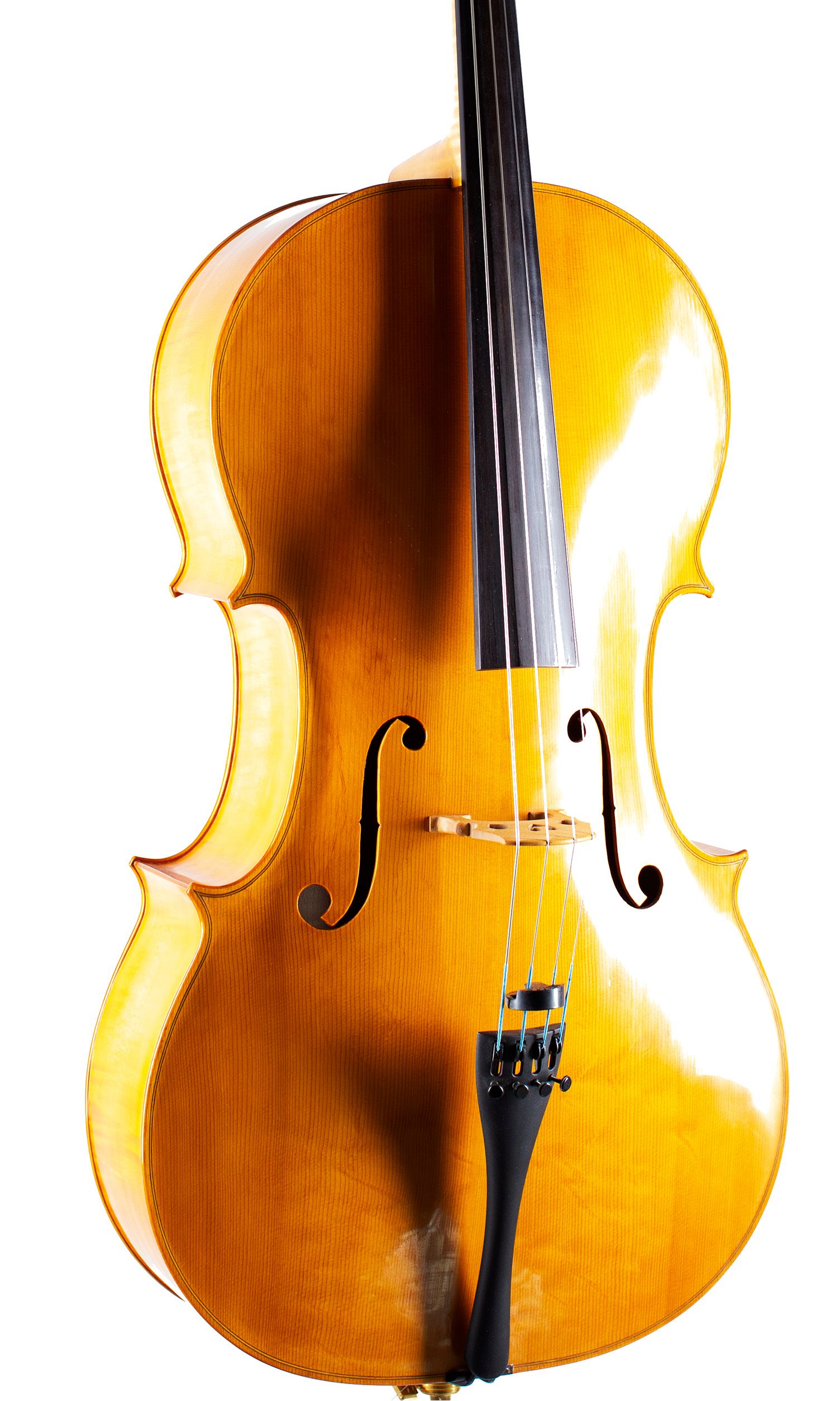 A cello by John Standen, Inverness, 2009 — angled view, 10°