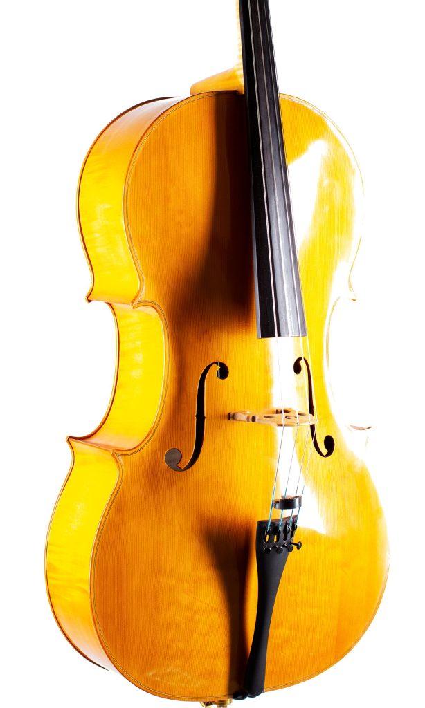 A cello by John Standen, Inverness, 2009 — angled view, 20°